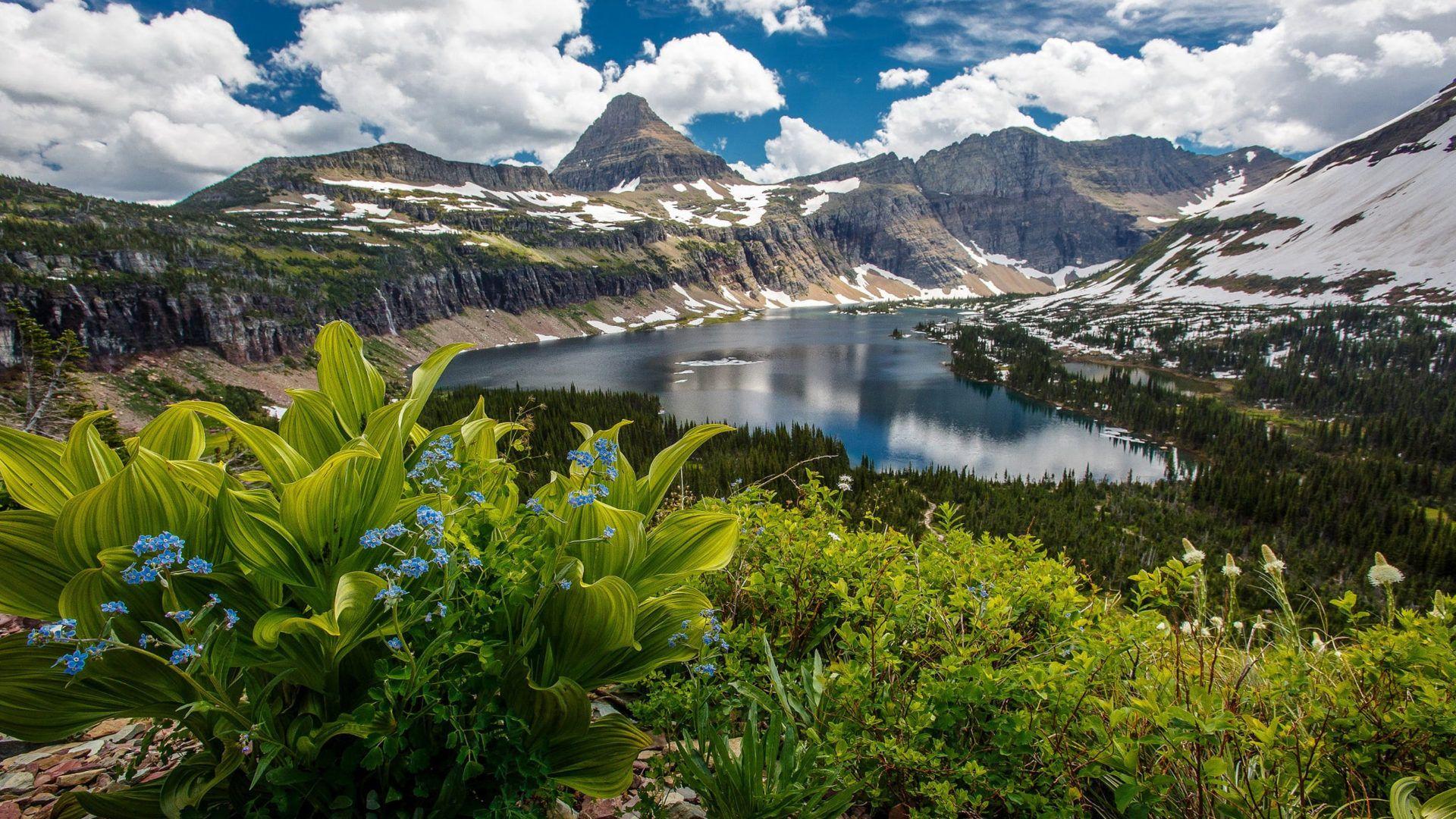 Glacier National Park In The U. S. State Of Montana Hidden Lake