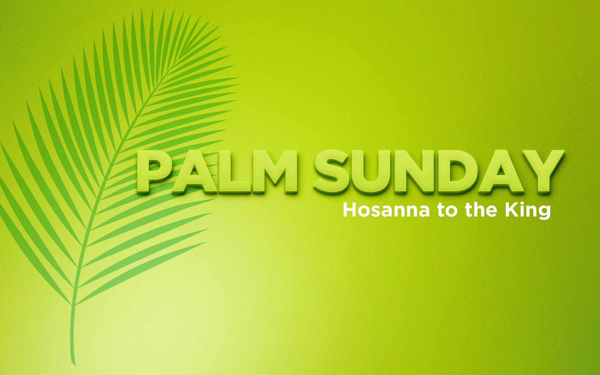 Palm Sunday Wallpaper Free Download