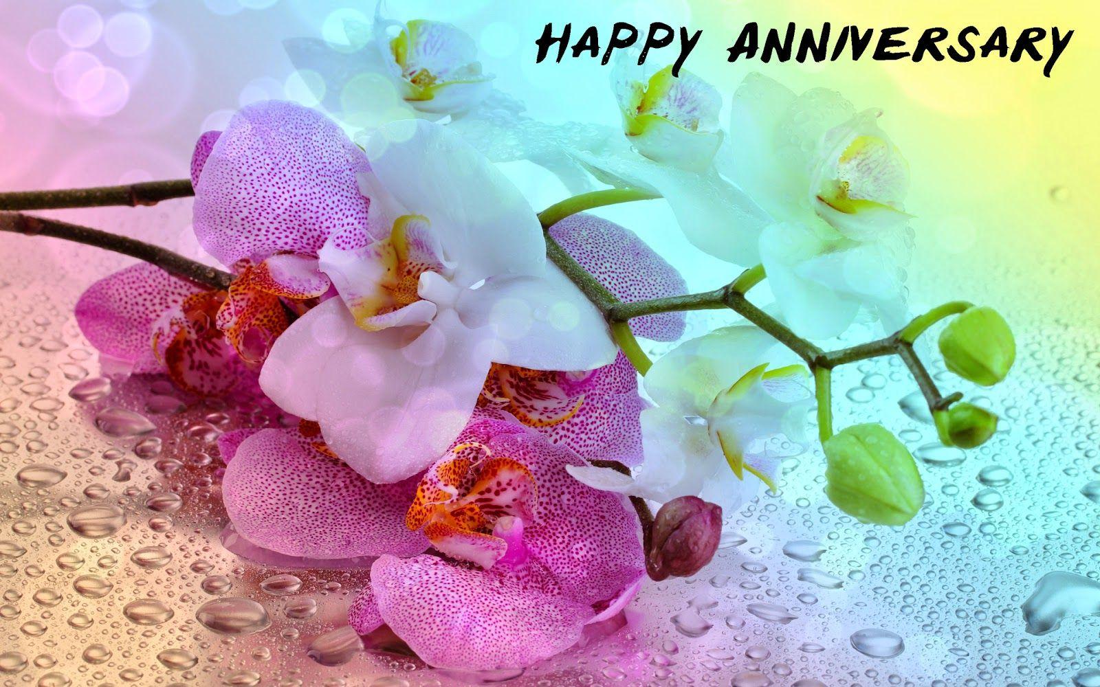 Best Happy Anniversary Image, Picture and Photo
