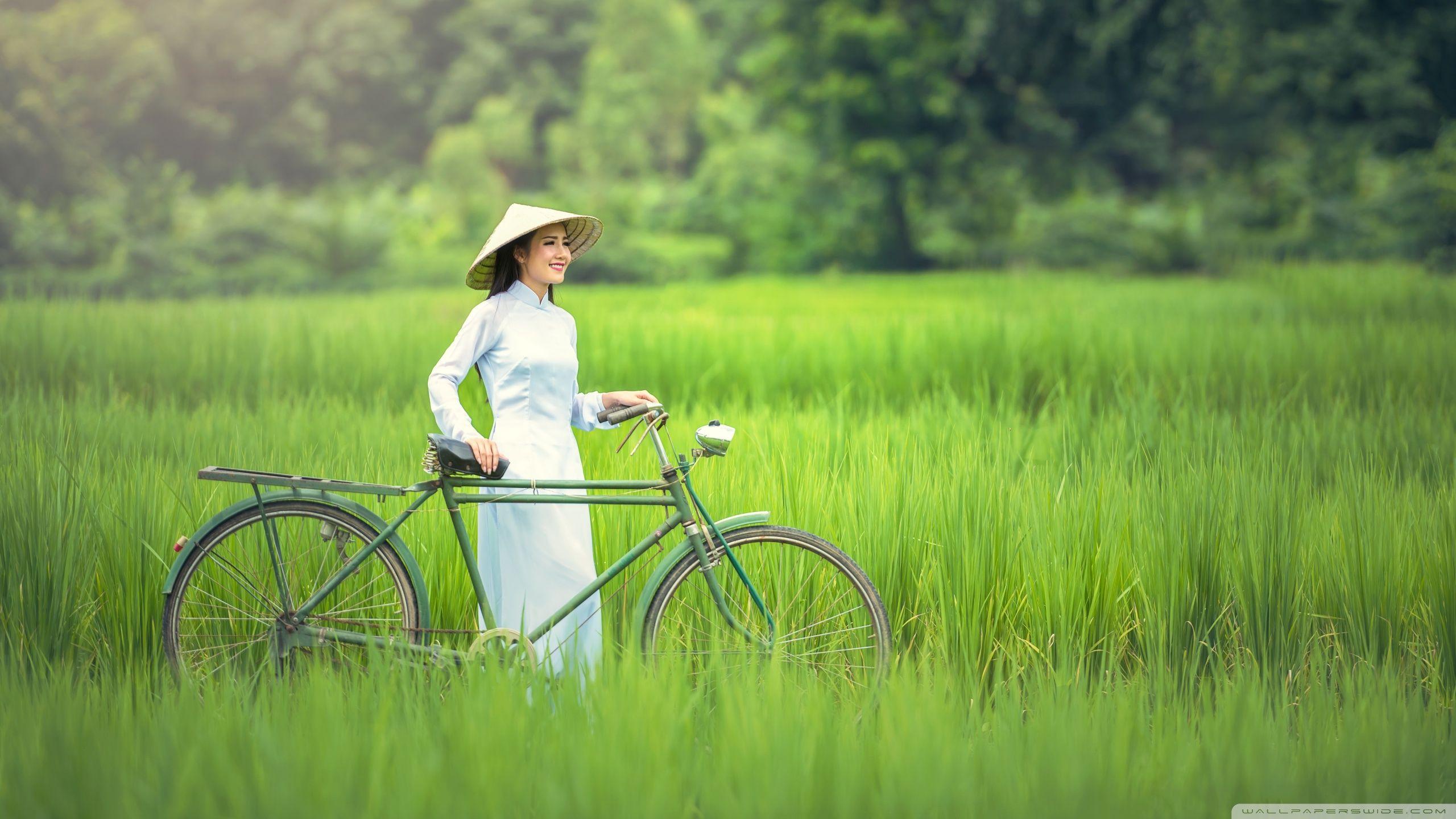 Girl, Bicycle, Rice Field Landscape ❤ 4K HD Desktop Wallpaper