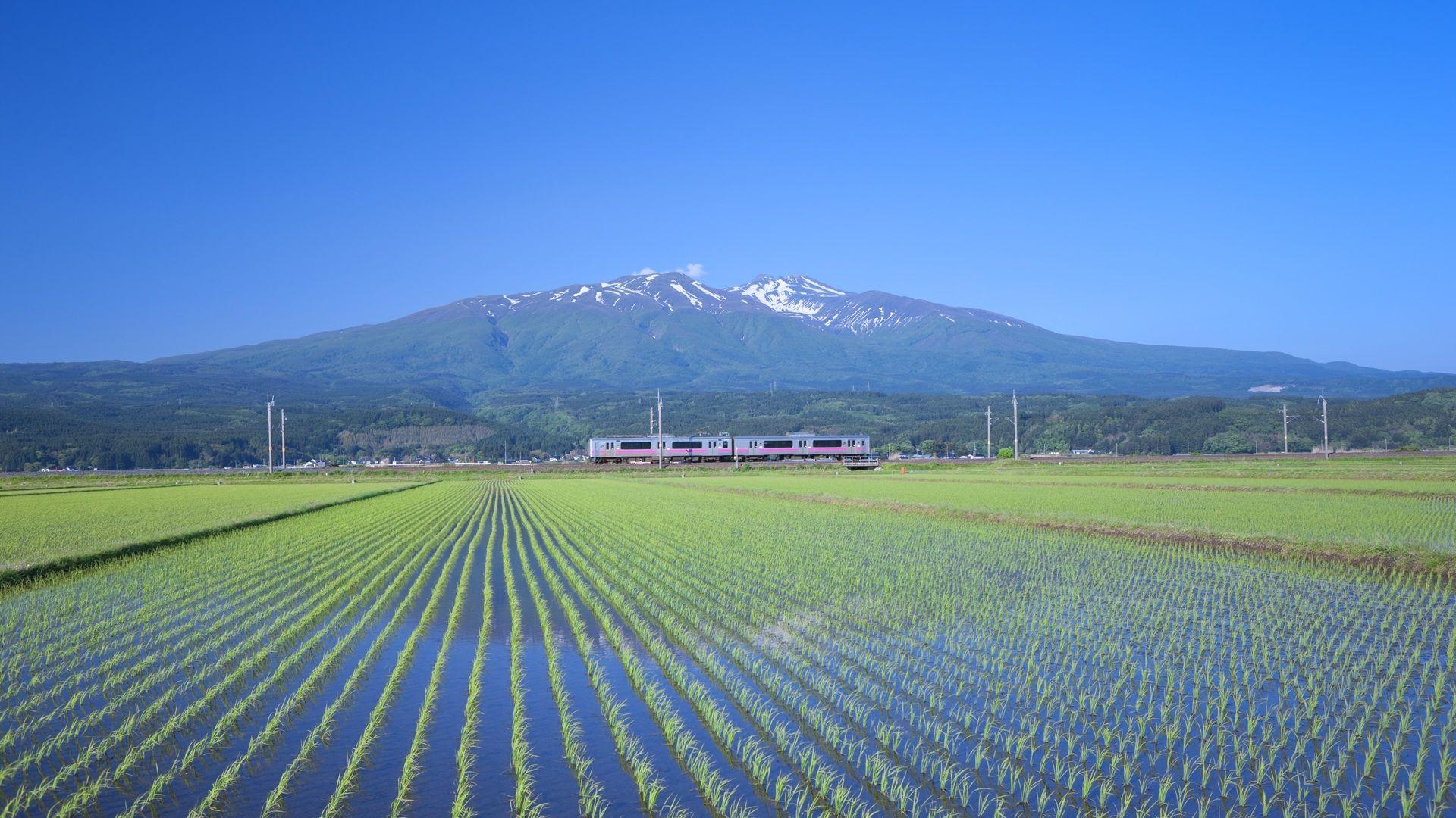 Mountains Rice Field Wallpaper