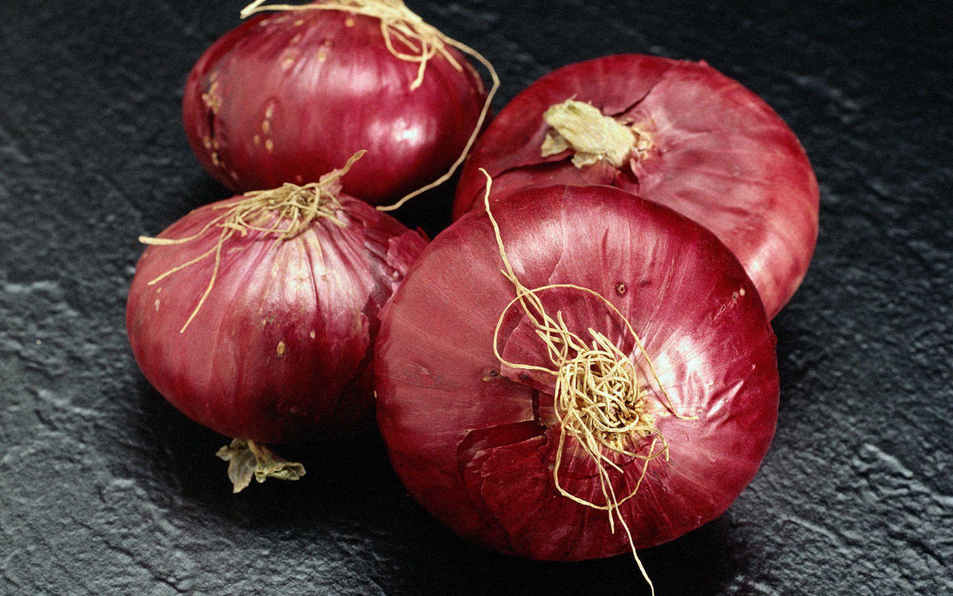 Onion HD Wallpaper and Background Image