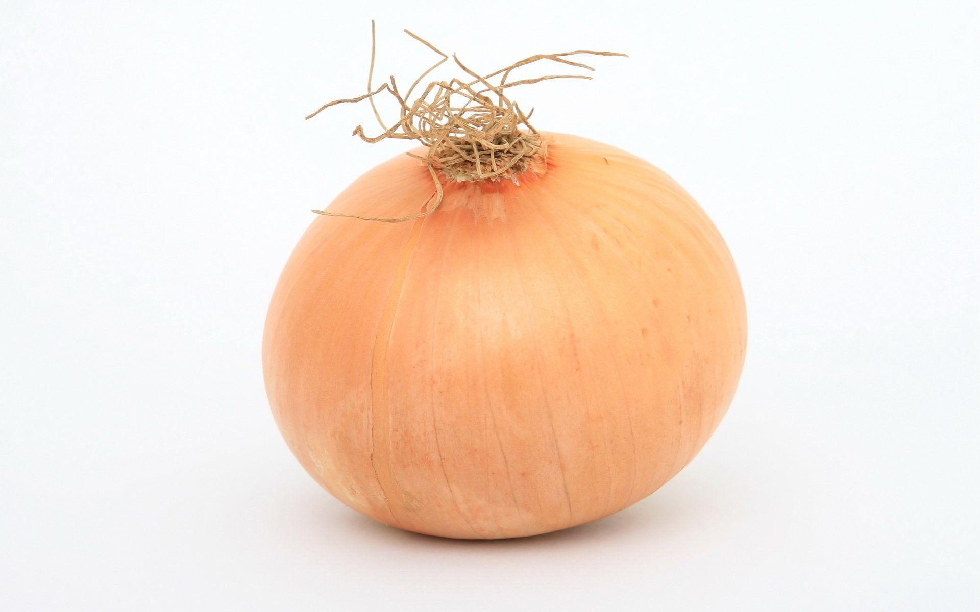 Onion HD Wallpaper and Background Image