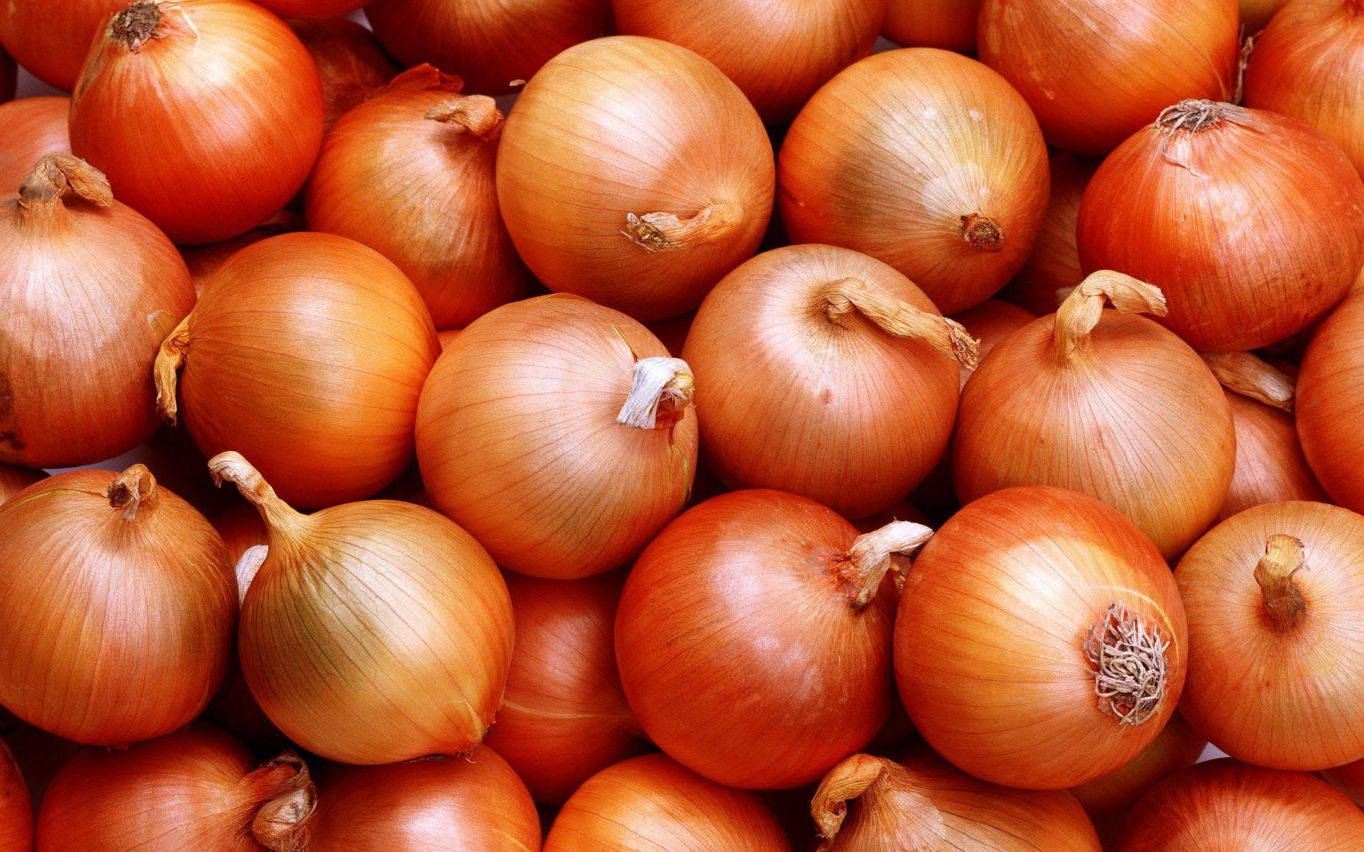 Onion Wallpaper 5 X 1200