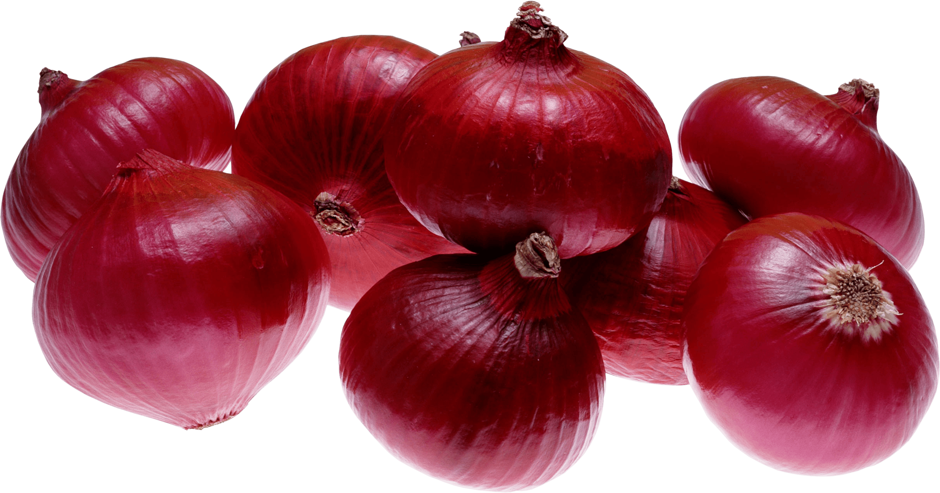 Onion Wallpaper, Onion Wallpaper and Picture Collection