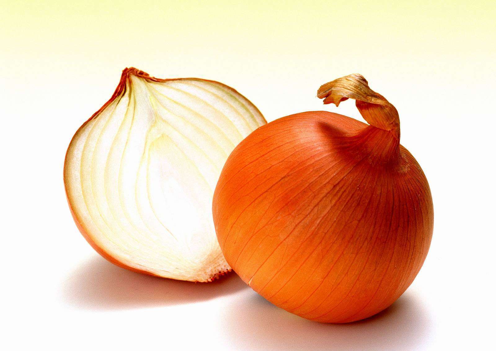 Onion Wallpapers - Wallpaper Cave