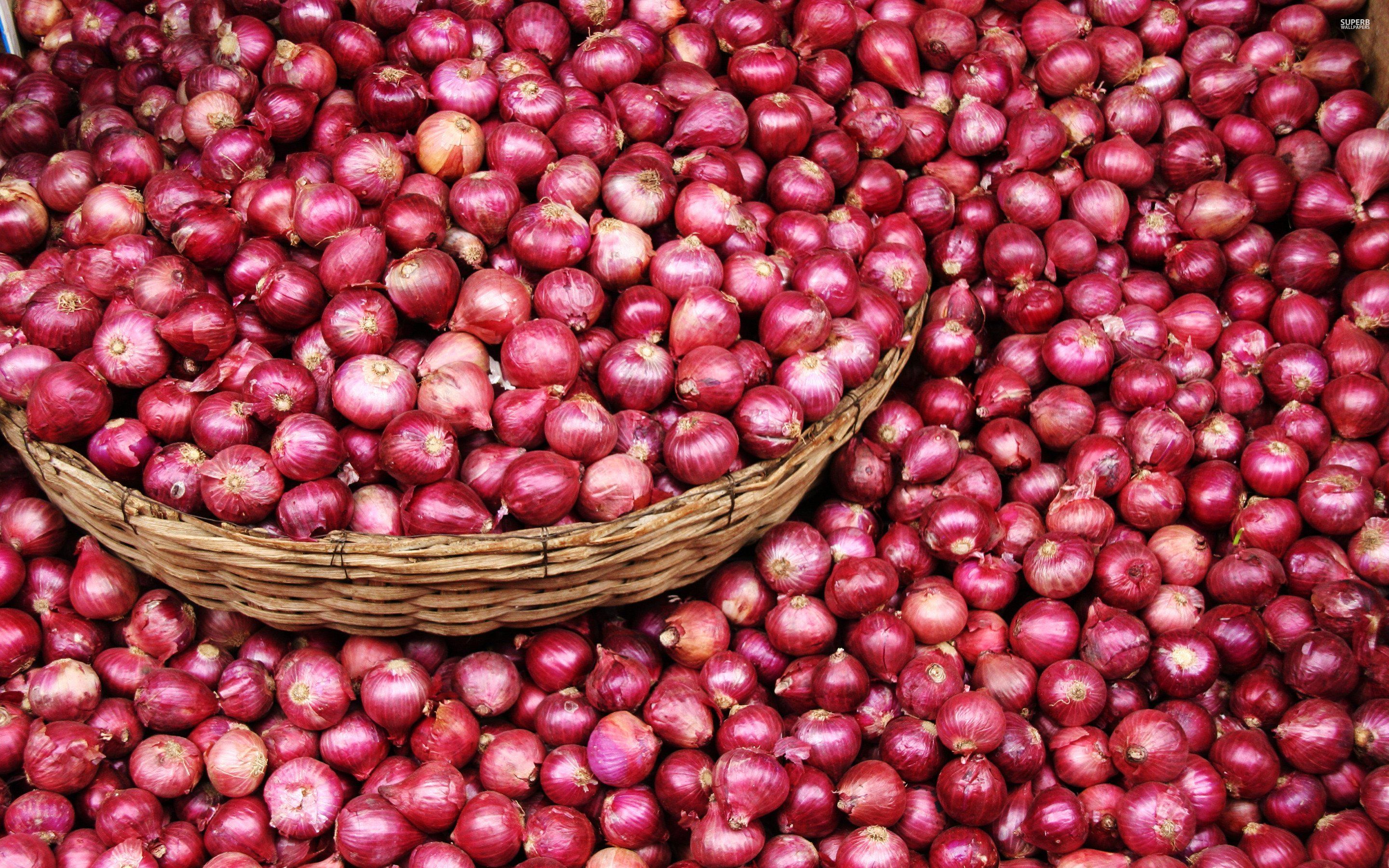 Red Onion Wallpaper High Quality