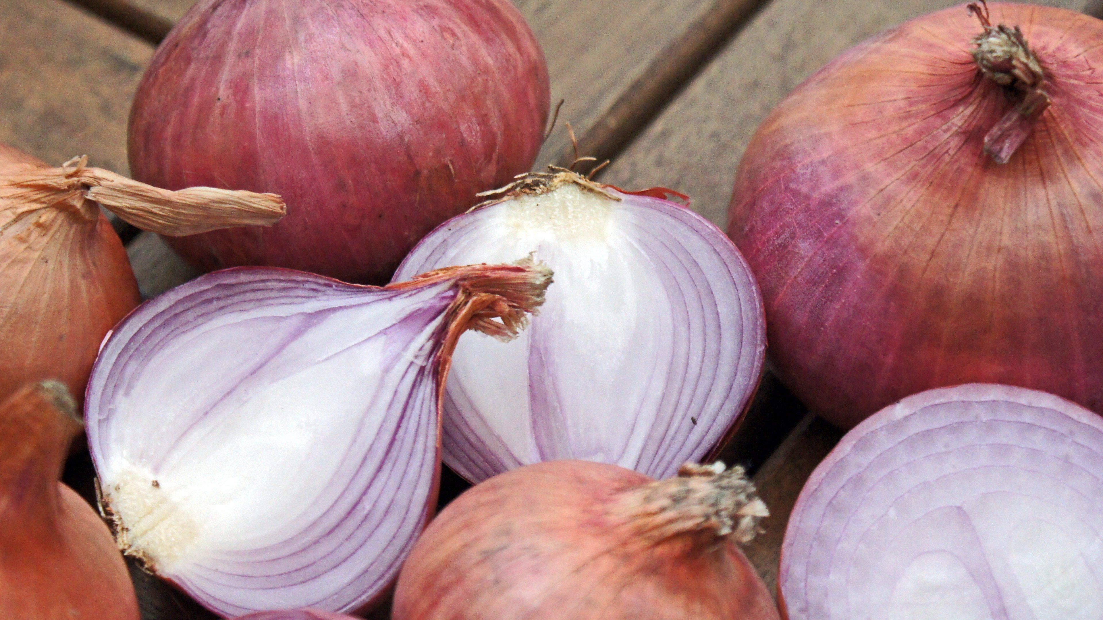 Onions Wallpaper & Desktop Background