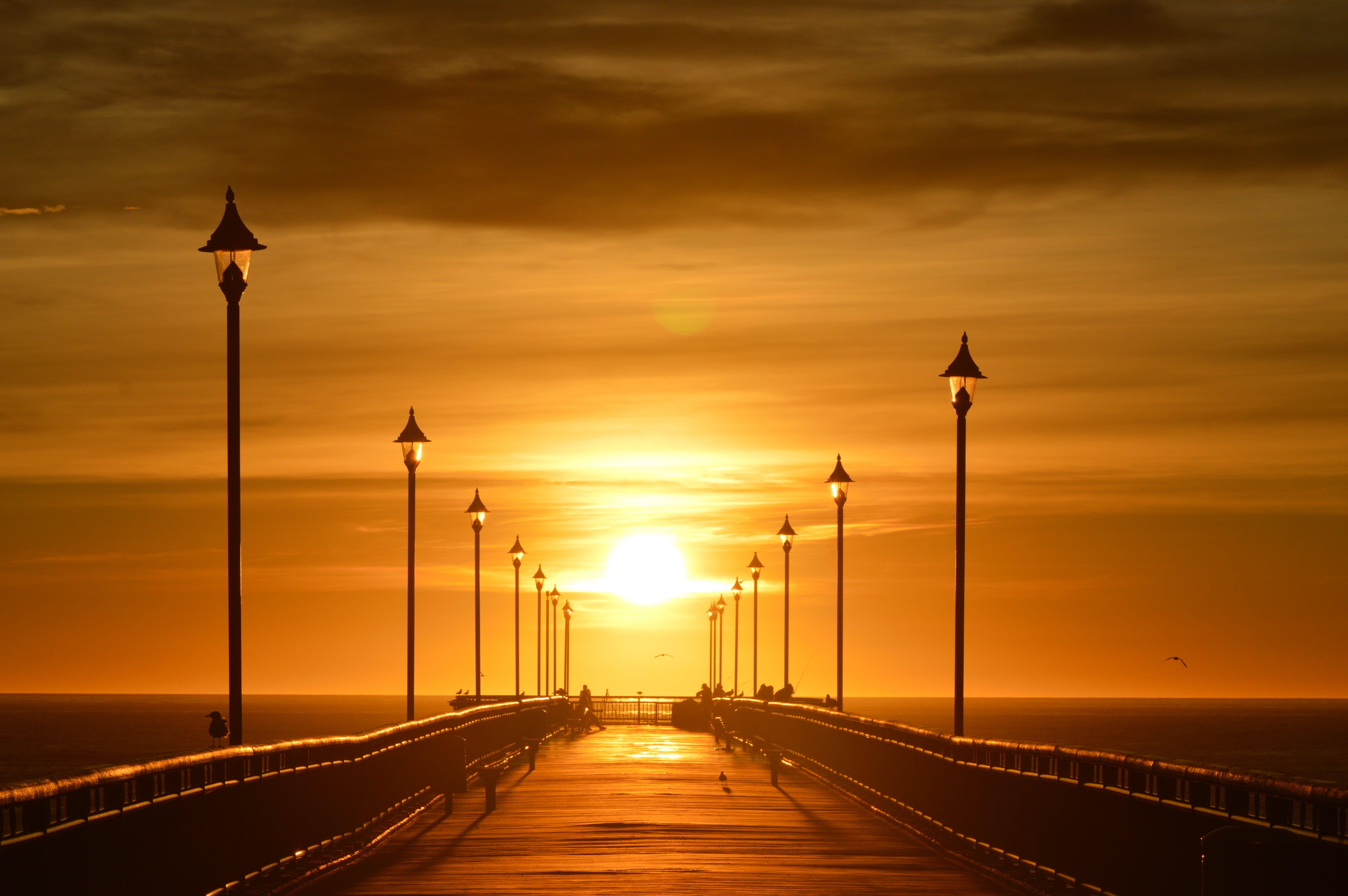 Bridge during sunset HD wallpaper