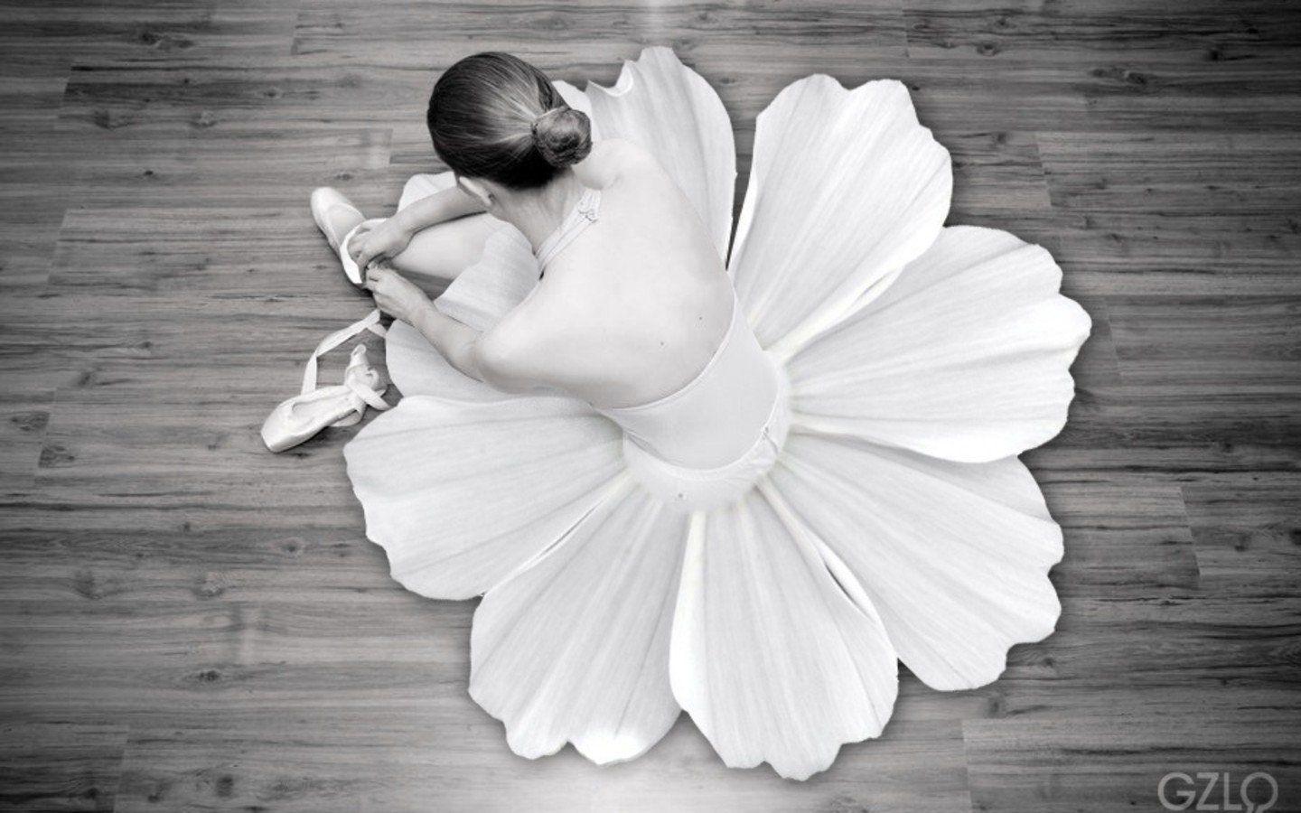 Flowers ballet monochrome dancers ballet shoes wallpaperx900