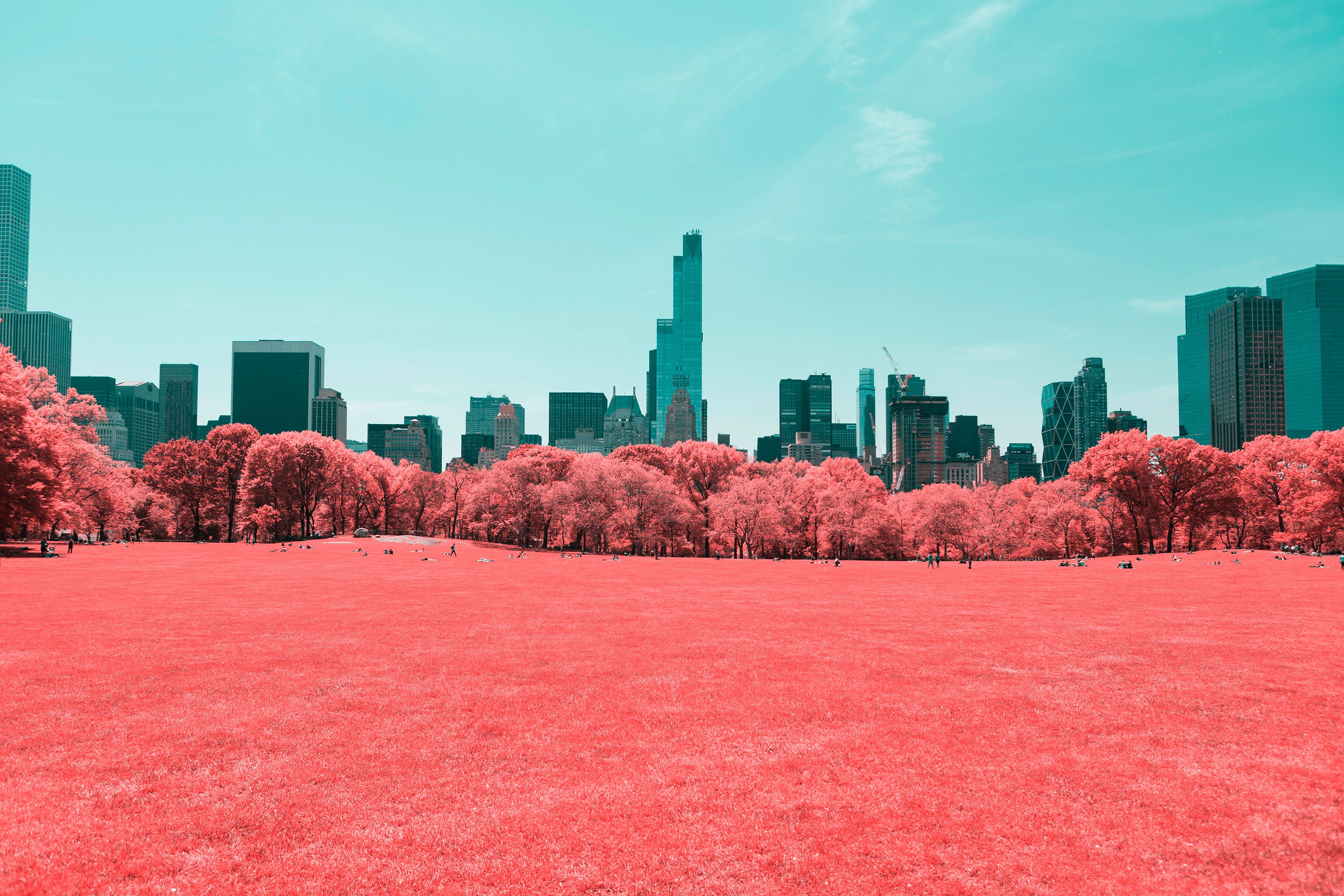 Wallpaper Central Park, Infrared, Manhattan, New York City, 4K
