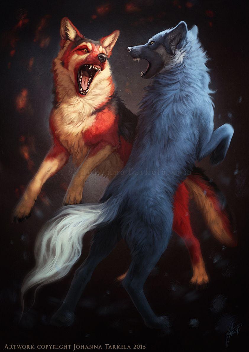 Fire Wolf Vs Ice Wolf Wallpapers - Wallpaper Cave