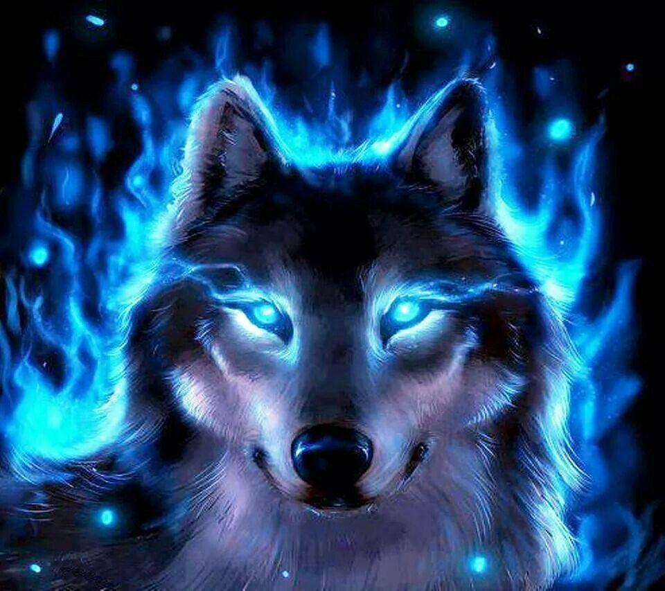 Cool flame wolf. Wolf background, Wolf wallpaper, Wolf spirit animal