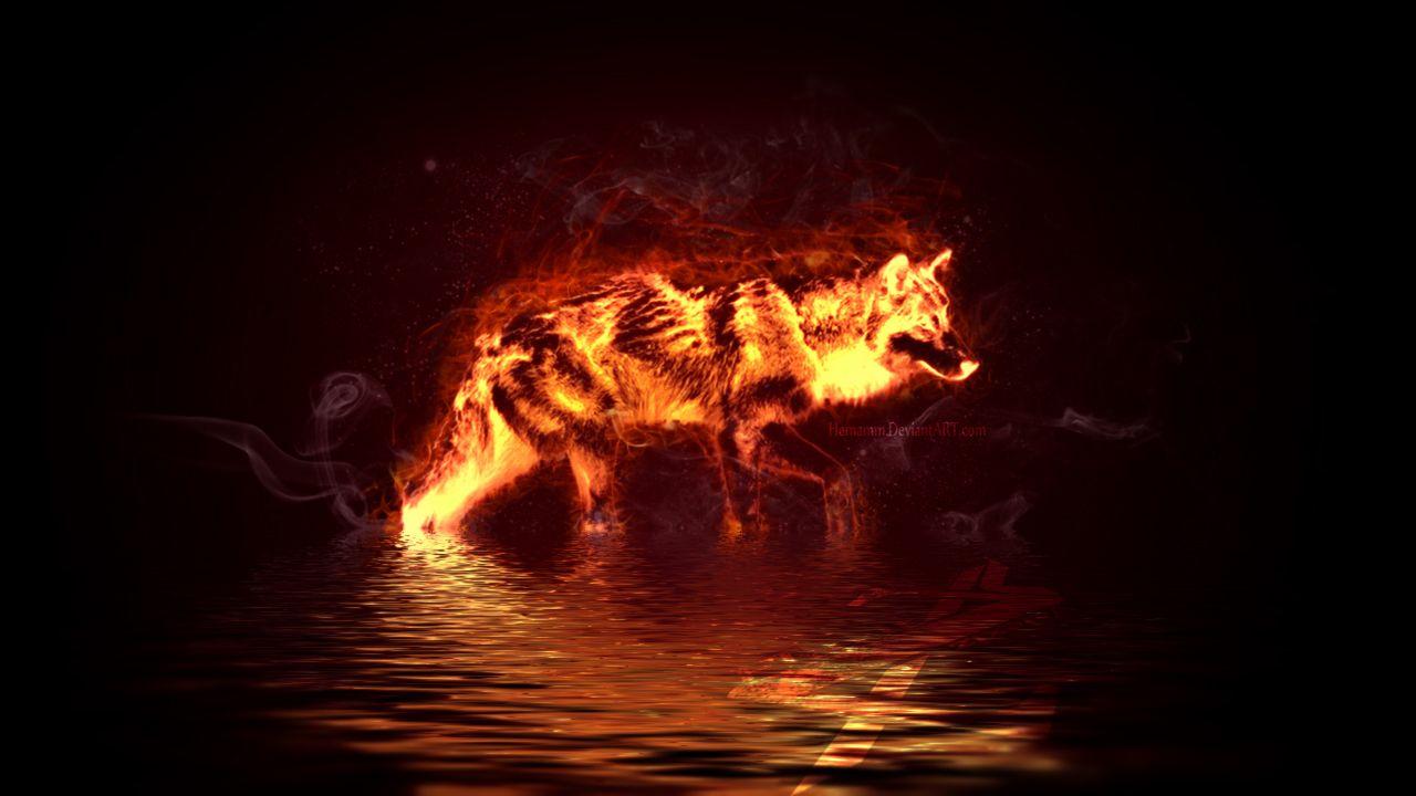 Fire Wolf Vs Ice Wallpapers Wallpaper Cave.