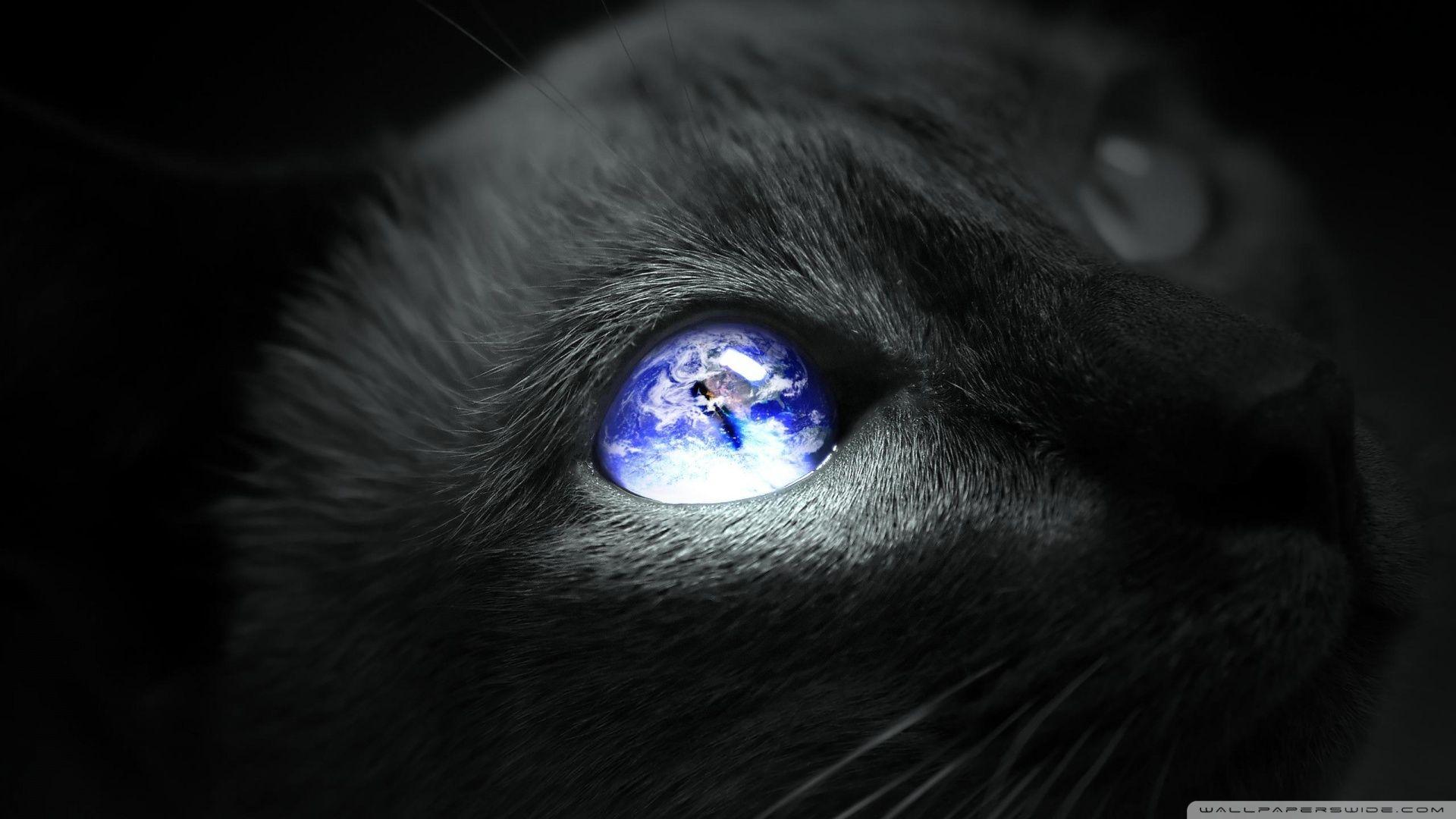 Earth Cat Eye ❤ 4K HD Desktop Wallpaper for 4K Ultra HD TV • Wide