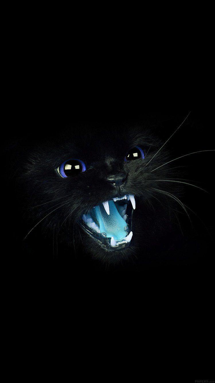 iPhone7papers cat blue eye roar animal cute
