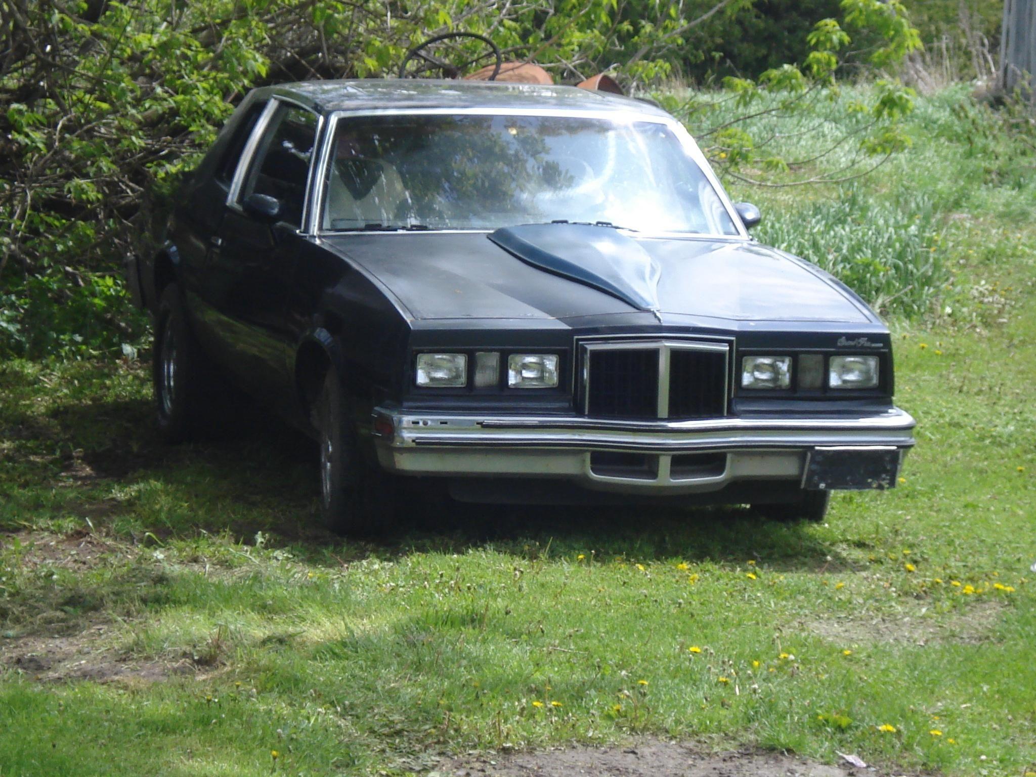 blaker1 1978 Pontiac Grand Prix Specs, Photo, Modification Info at