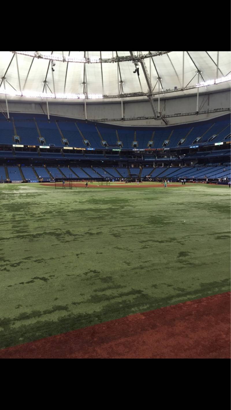 Photos of the Tampa Bay Rays at Tropicana Field
