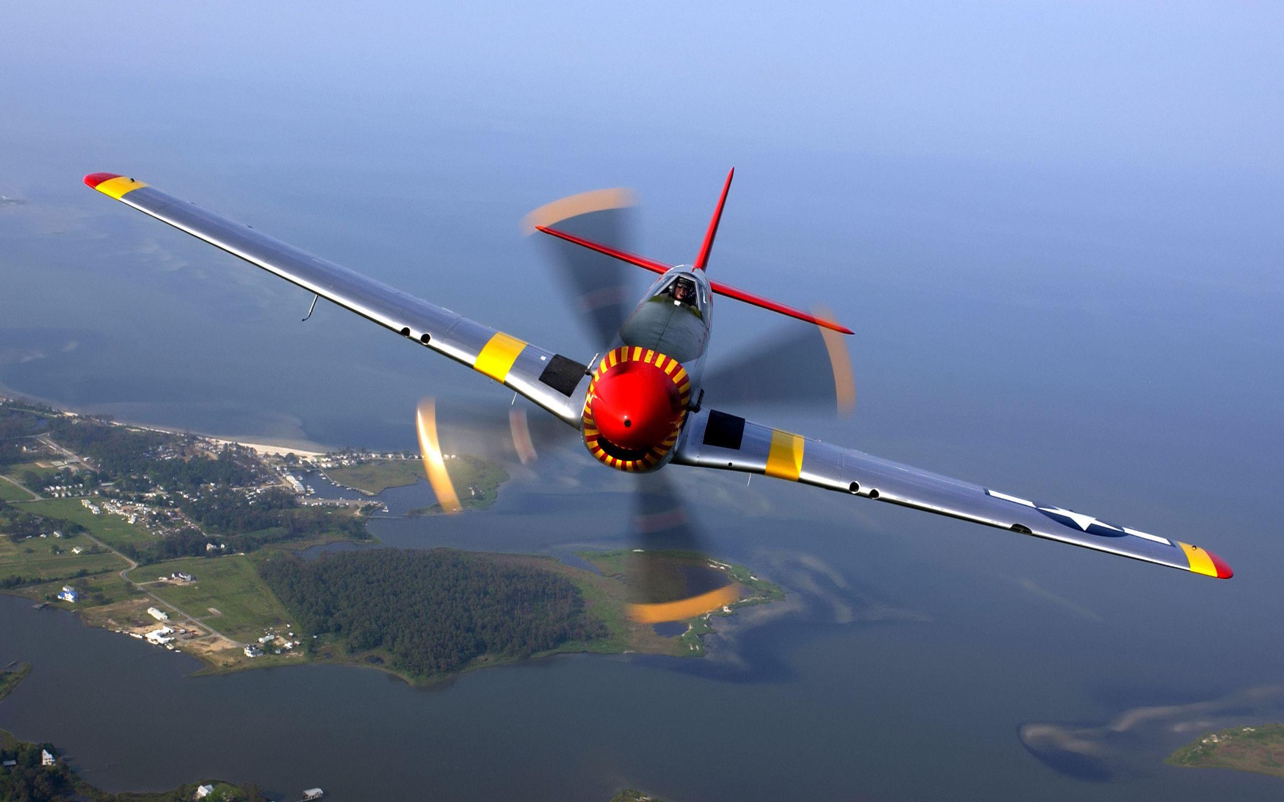 P51 Mustang Flight
