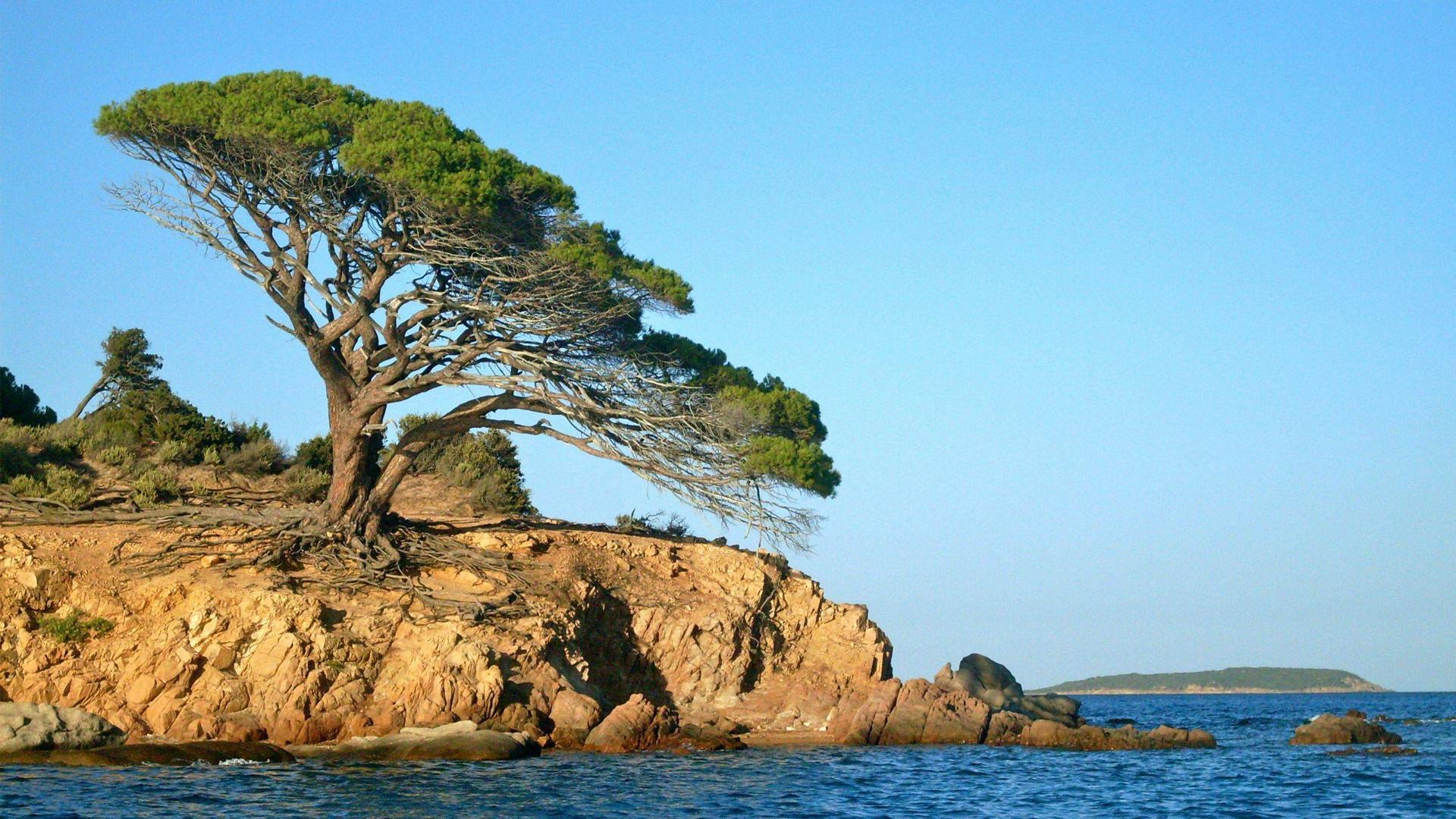 The end of an island in Corsica, France [1920 x 1080]