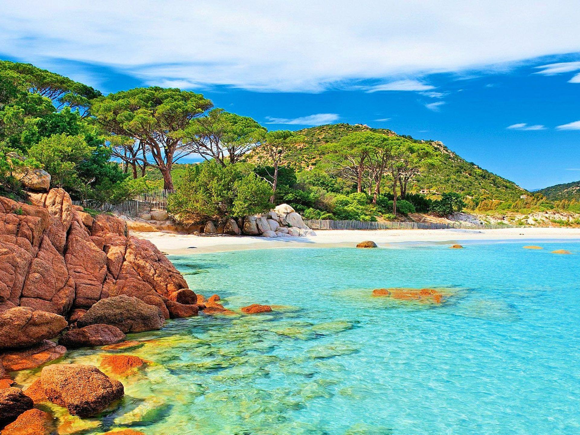 Palombaggia Beach In Corsica Island In France 4k Uhd Wallpaper