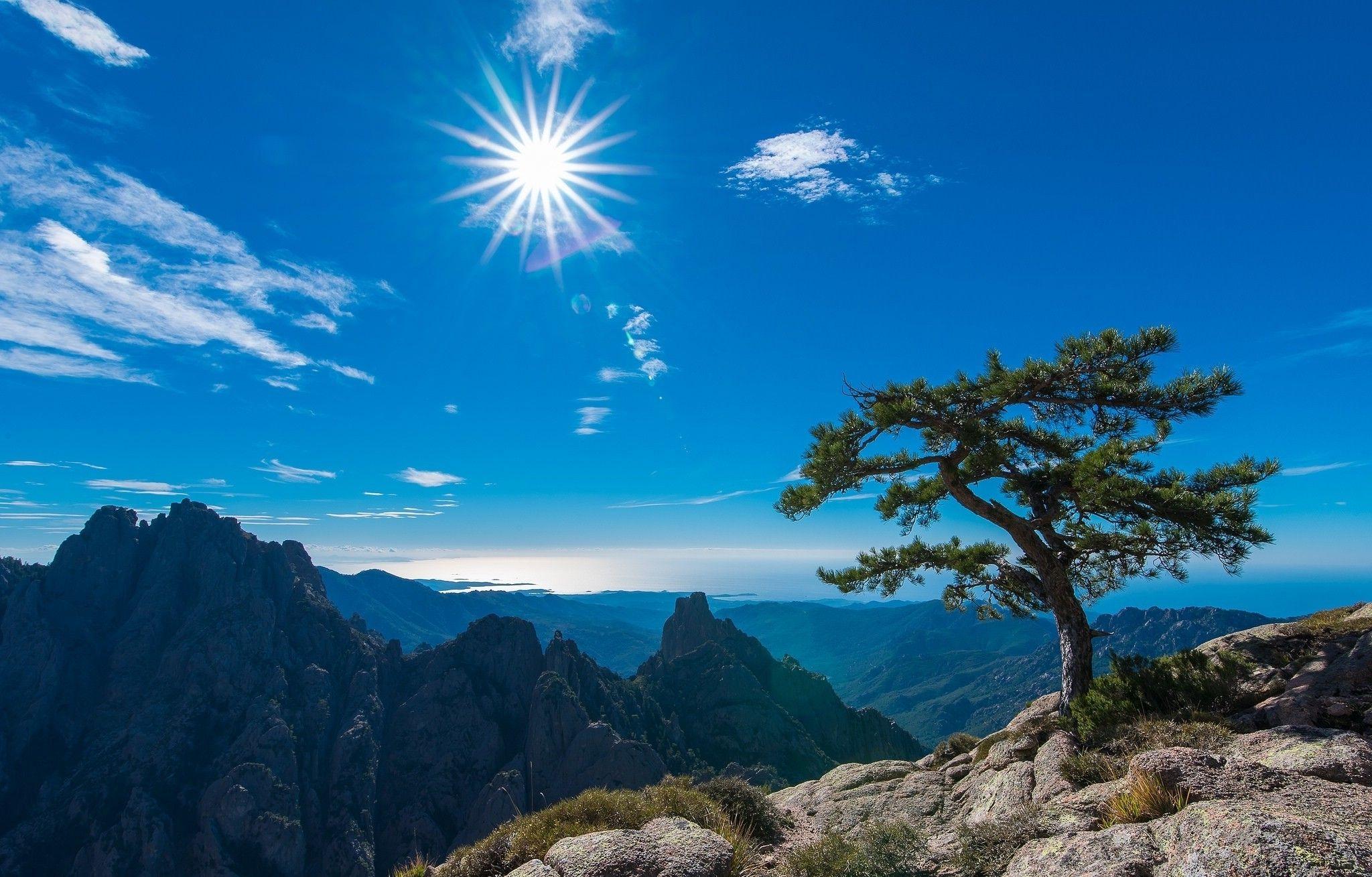 Corsica, France, Landscape, Trees, Sun Wallpaper HD / Desktop