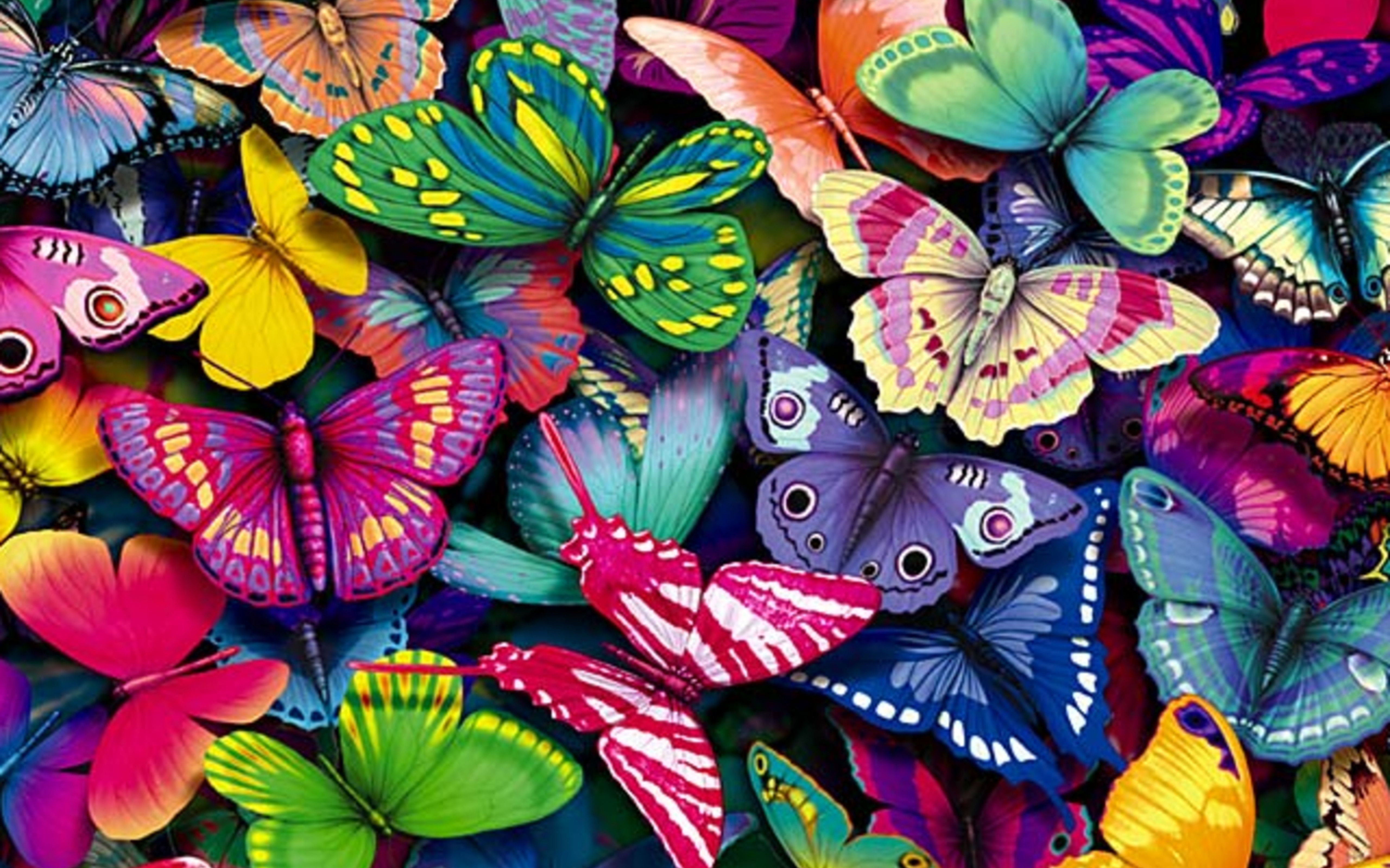 Free Colorful Wallpapers Image
