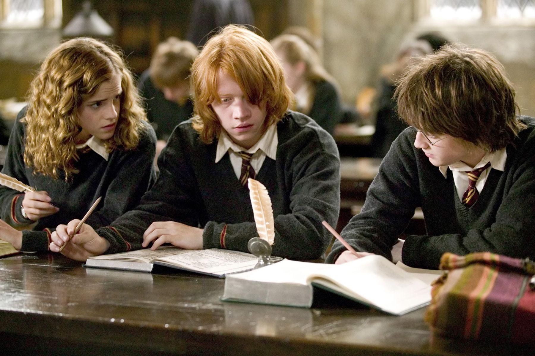 Hermione Granger Ron Weasley Harry Potter Hp4 Study