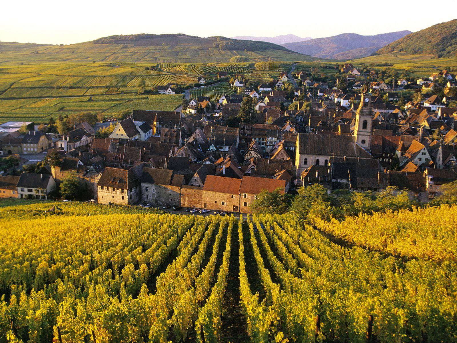 City of vineyards in Alsace, France wallpaper and image