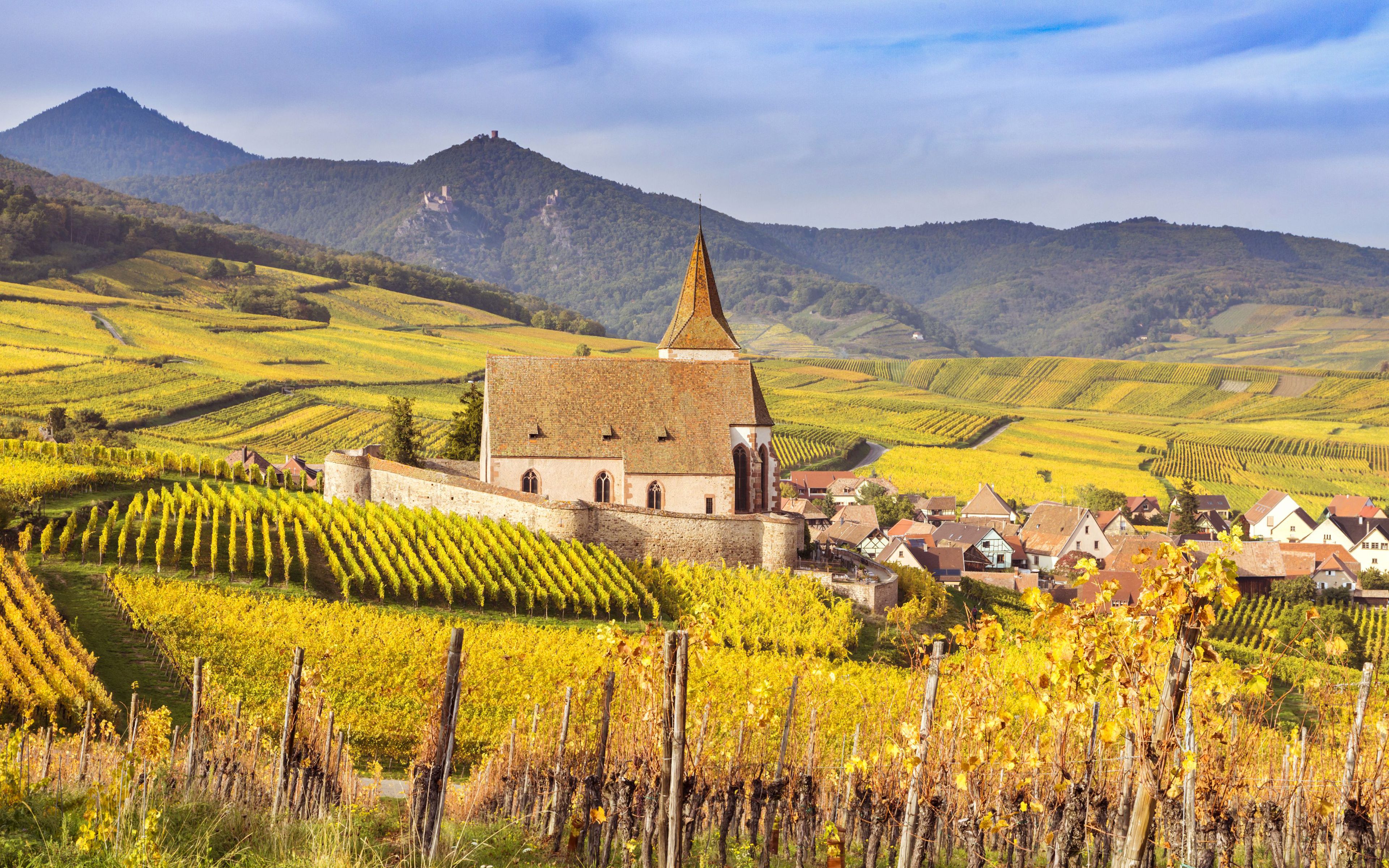 Download wallpaper Europe, 4k, vineyards, autumn, Alsace, Hunawihr, France for desktop with resolution 3840x2400. High Quality HD picture wallpaper