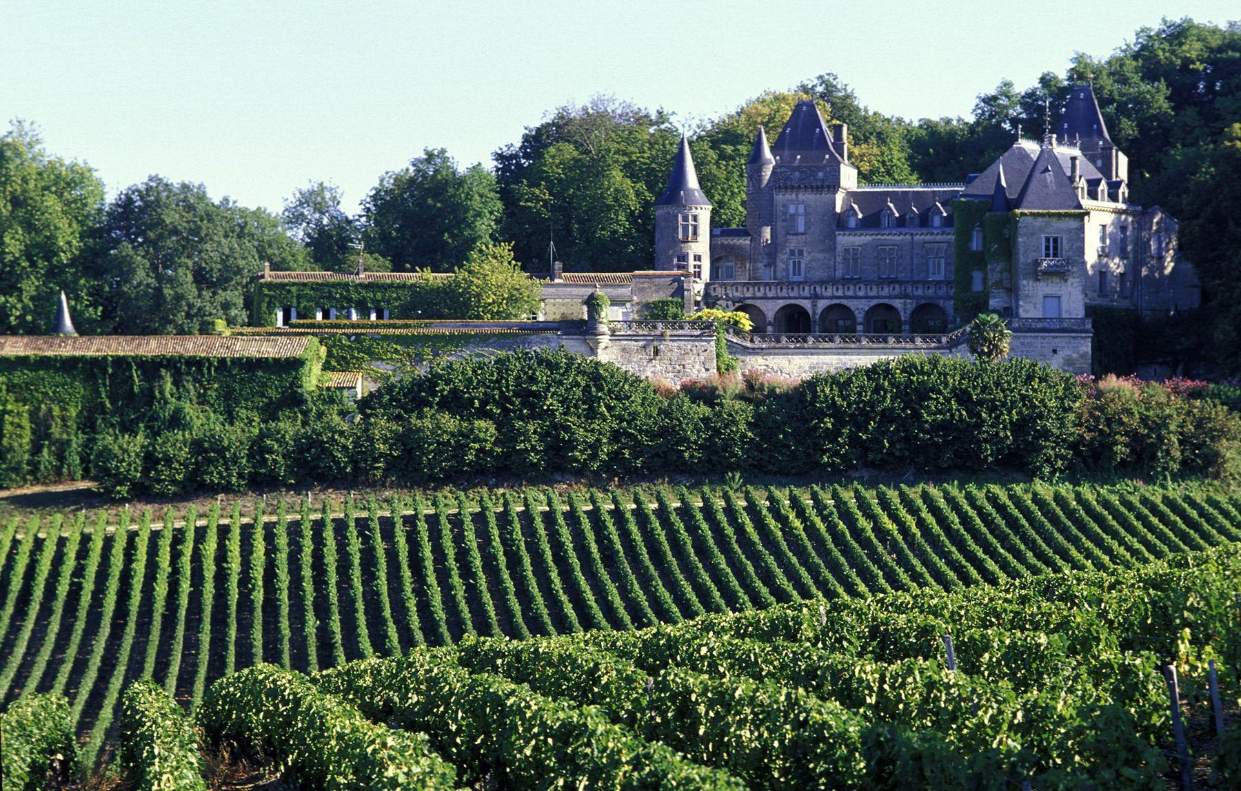 Vineyards in Bordeaux, France wallpaper and image