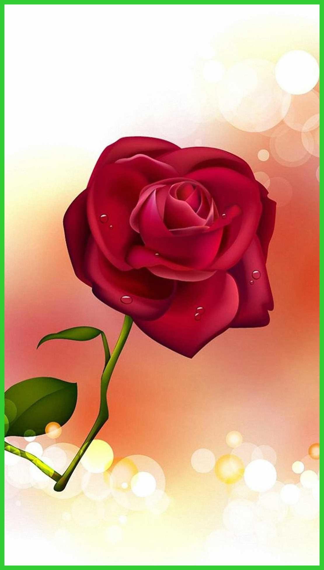 Appealing Rose Flower HD Wallpaper Full Pics Of iPhone For Mobile P