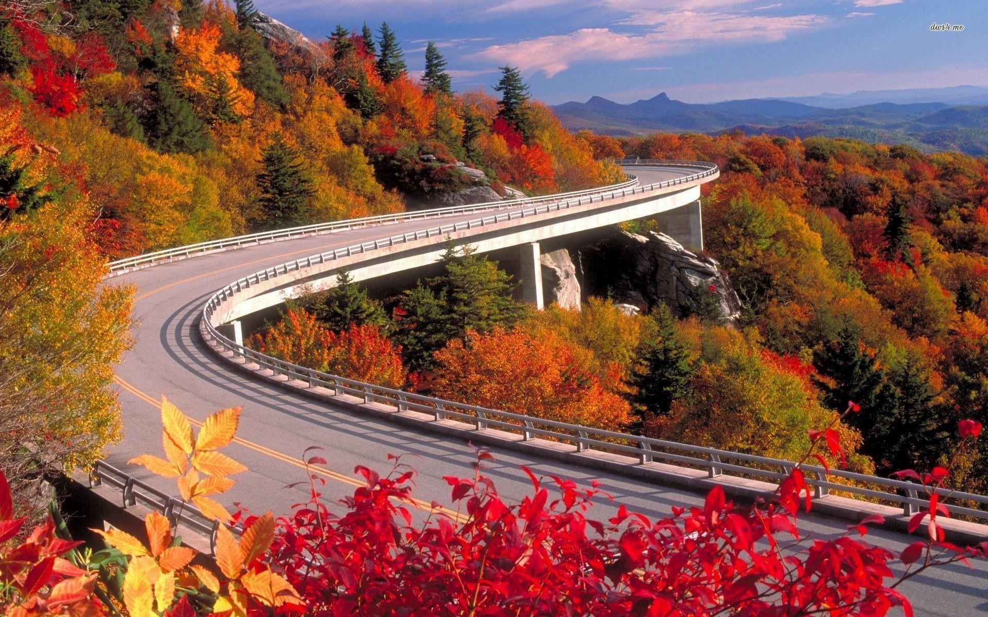 Blue Ridge Parkway In Fall