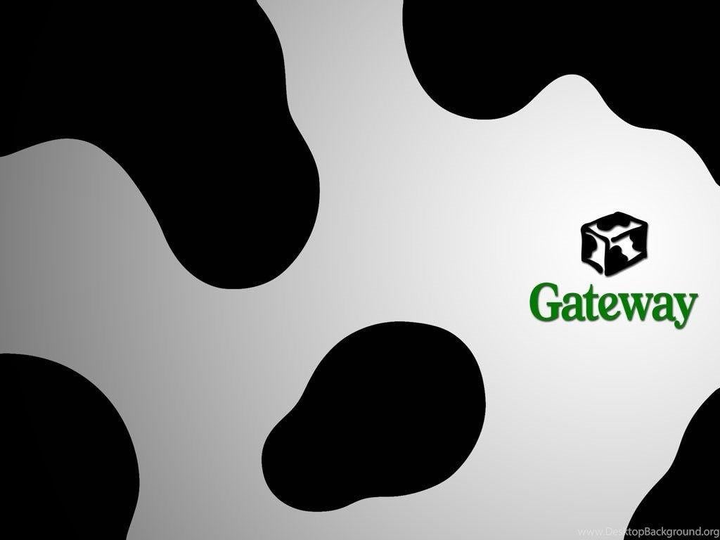 Download Cow Free Gateway Wallpaper 1024x768 Desktop Background