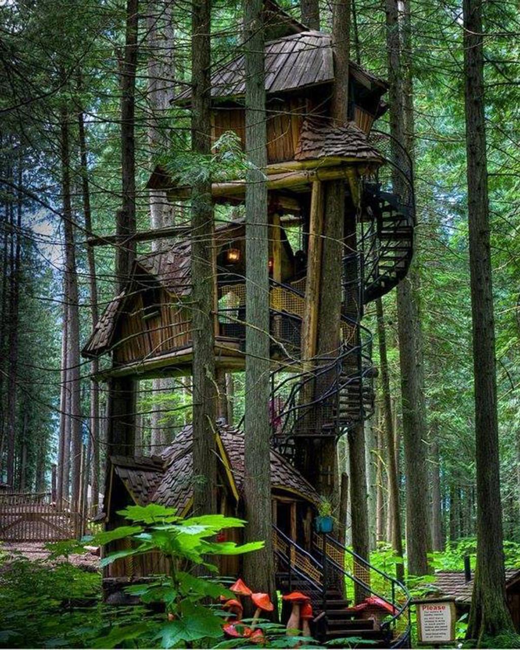 Tree House Wallpaper (Picture)