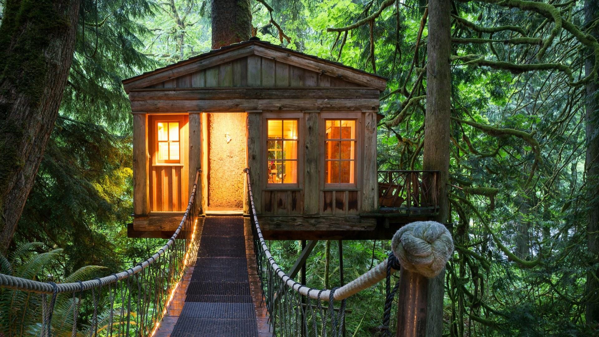 Treehouse Wallpapers Wallpaper Cave