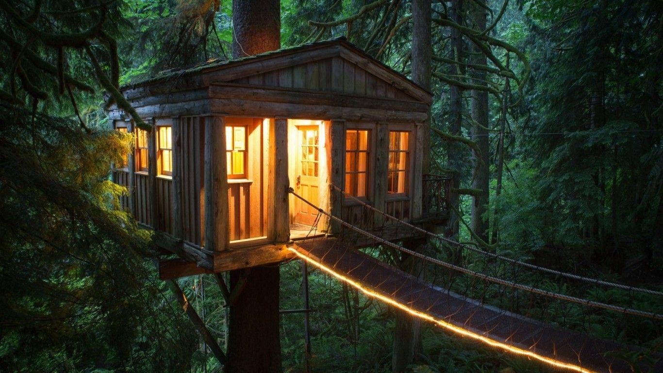 Download 1366x768 Tree House, Bridge, Lights, Forest, Trees