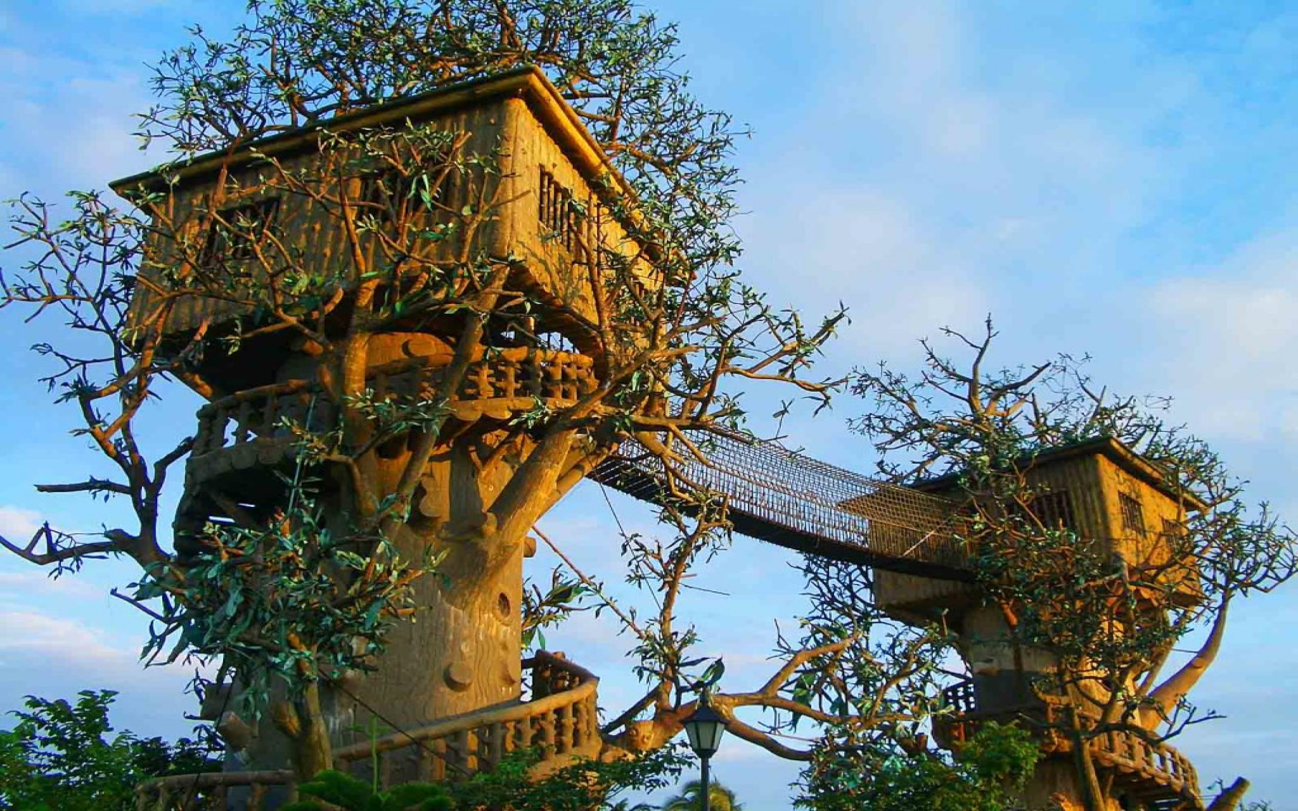 Treehouse Wallpapers - Wallpaper Cave