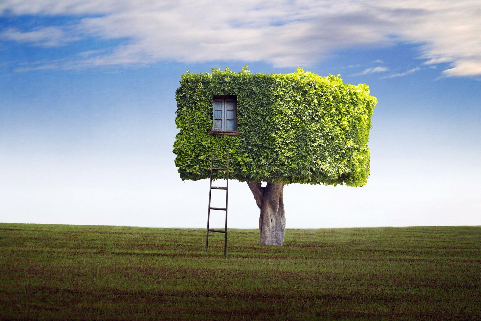 Funny Tree House Wallpaper HD / Desktop And Mobile Background