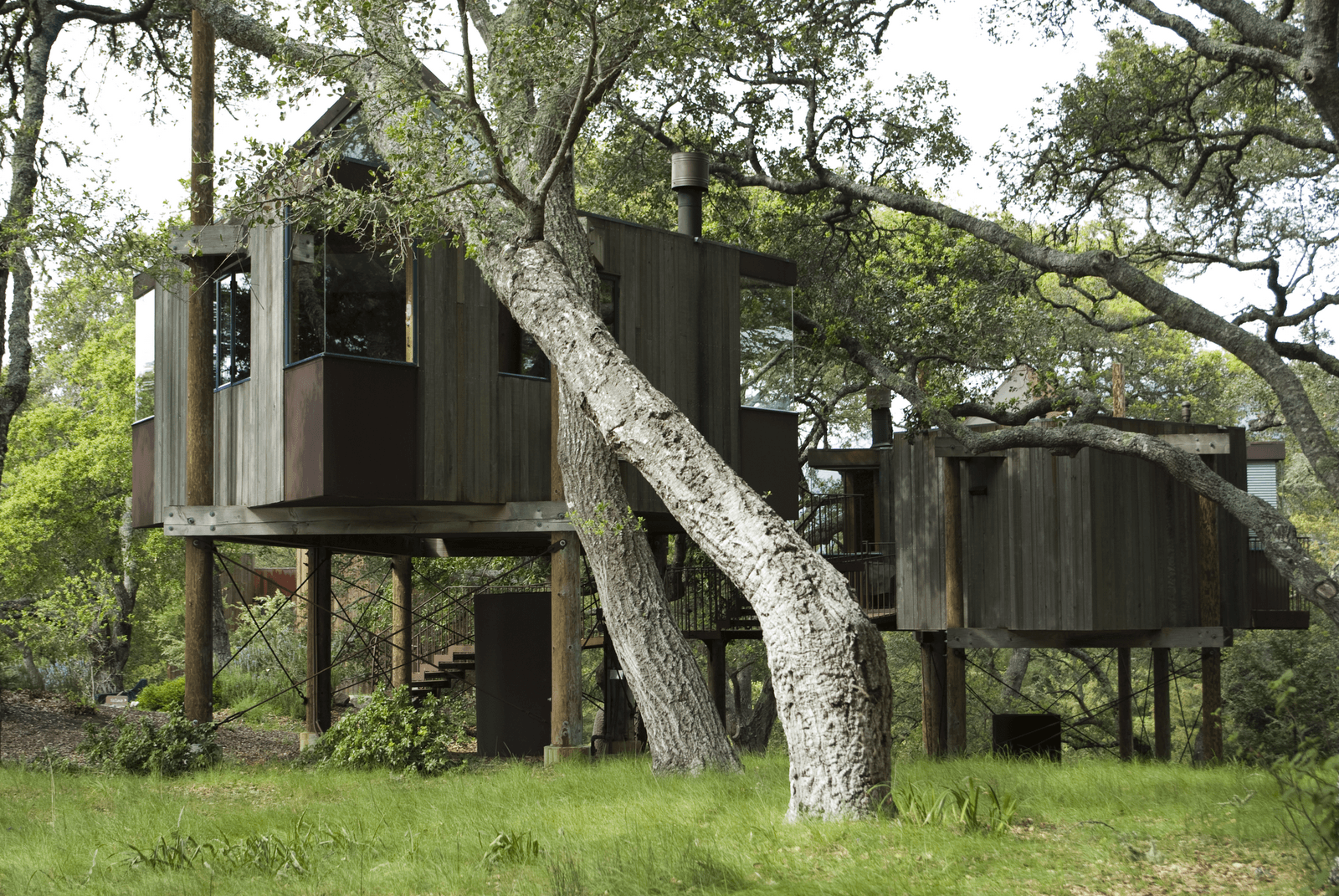 Tree House HD Wallpaper 2015