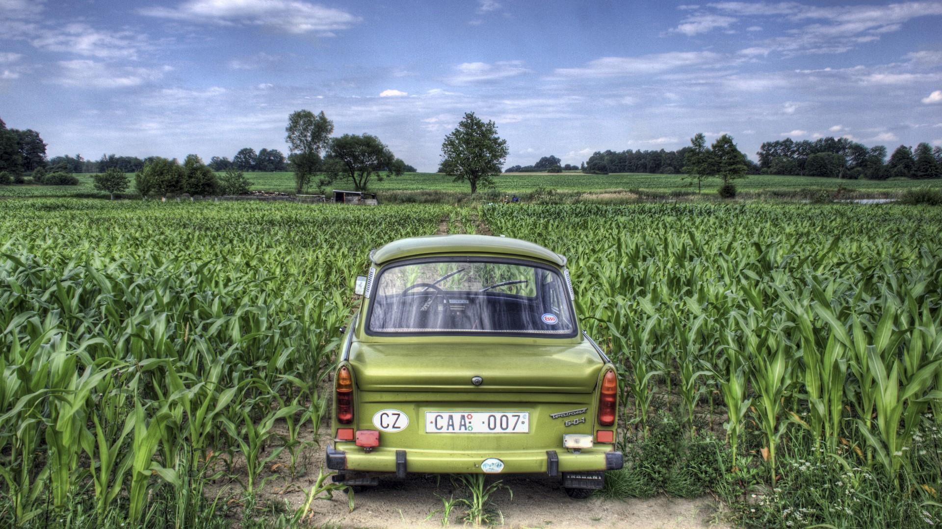 Wallpaper Car, Tuning, Deluxe, Trabant 601 for mobile and desktop