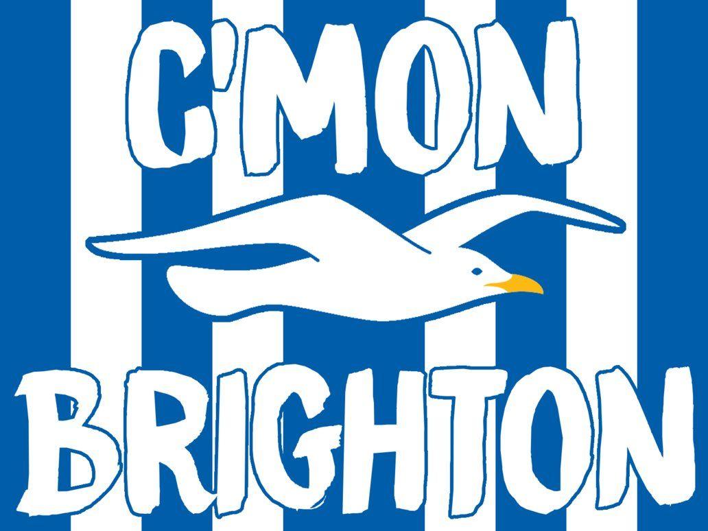 Brighton and Hove Albion Football Club Wallpaper