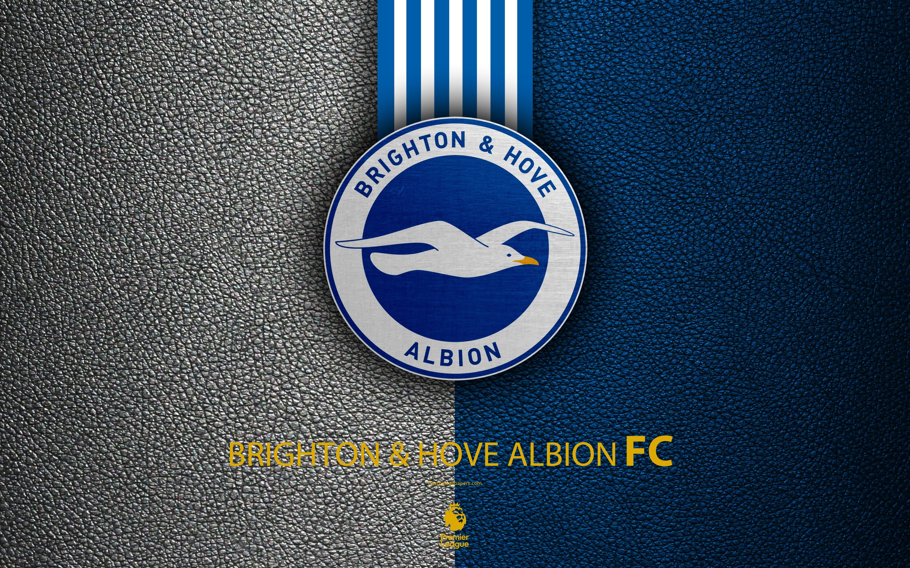 Download wallpaper Brighton and Hove Albion FC, 4k, English