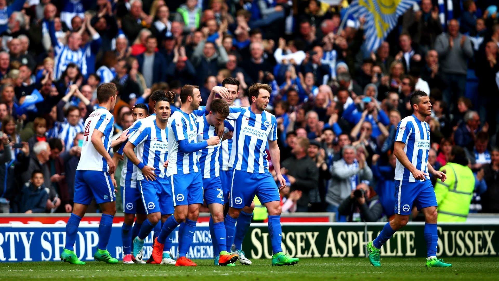Premier League Newcomer: Meet Brighton and Hove Albion