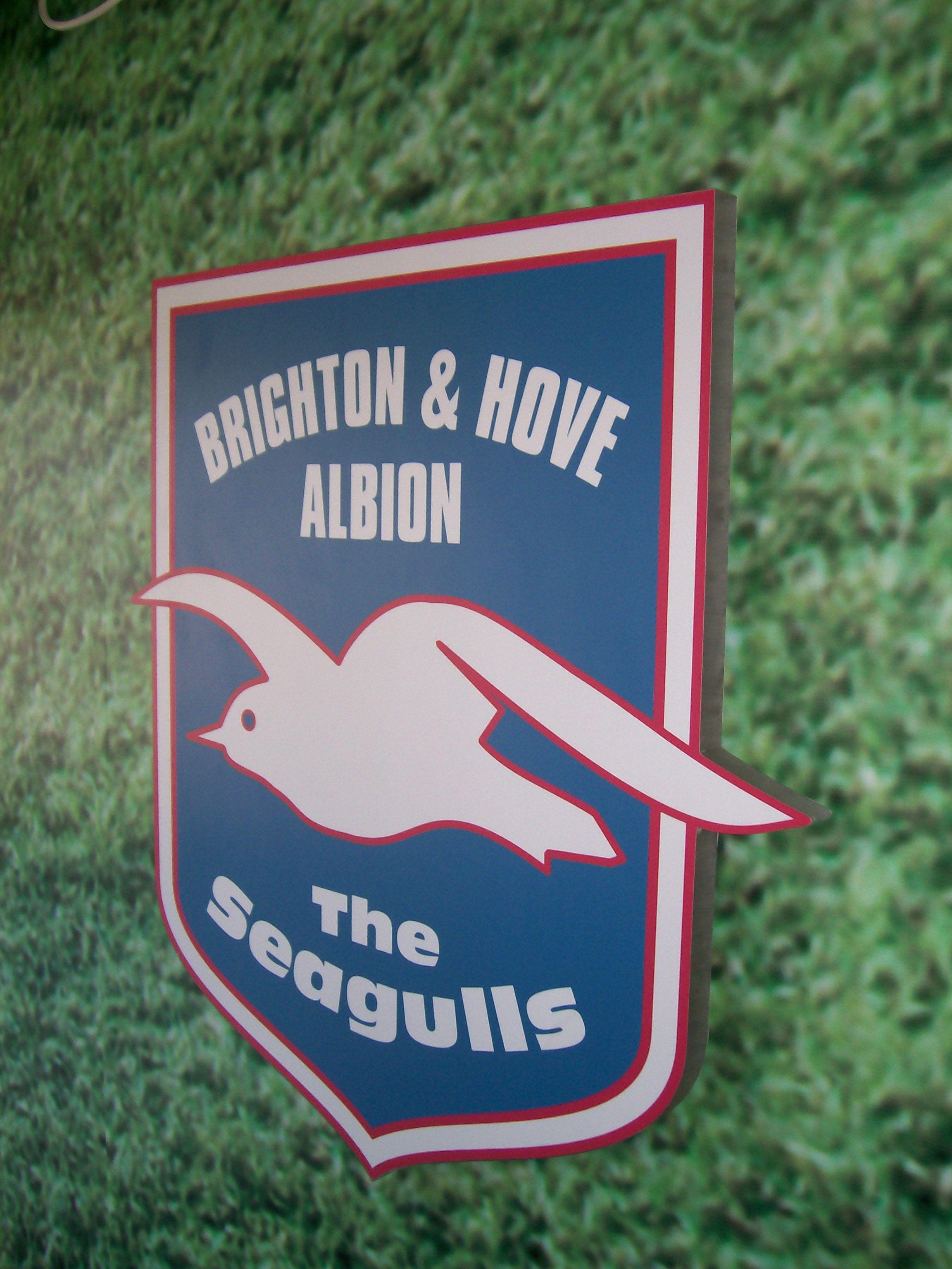 Brighton and Hove Albion Football Club
