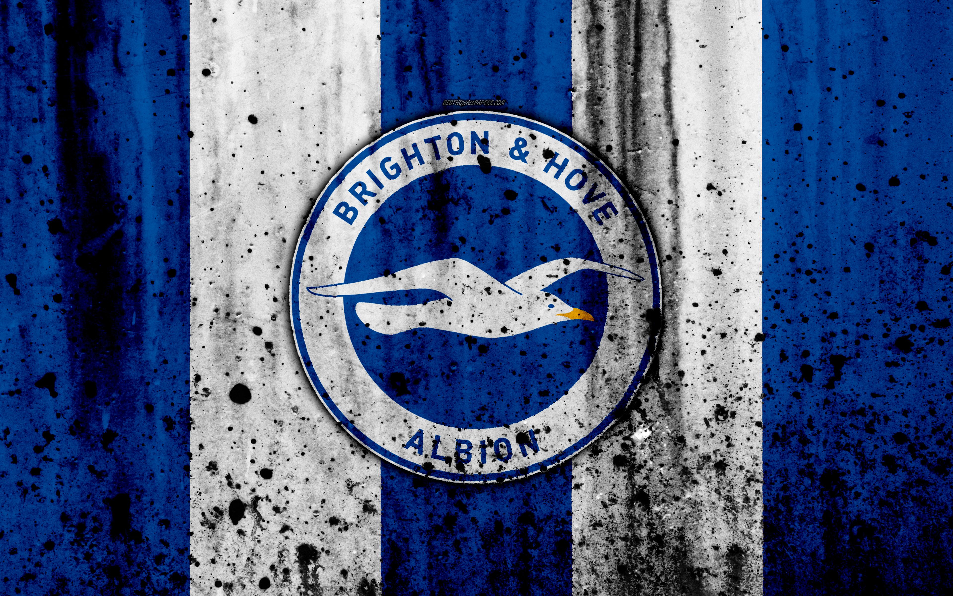 Download wallpaper FC Brighton and Hove Albion, 4k, Premier League