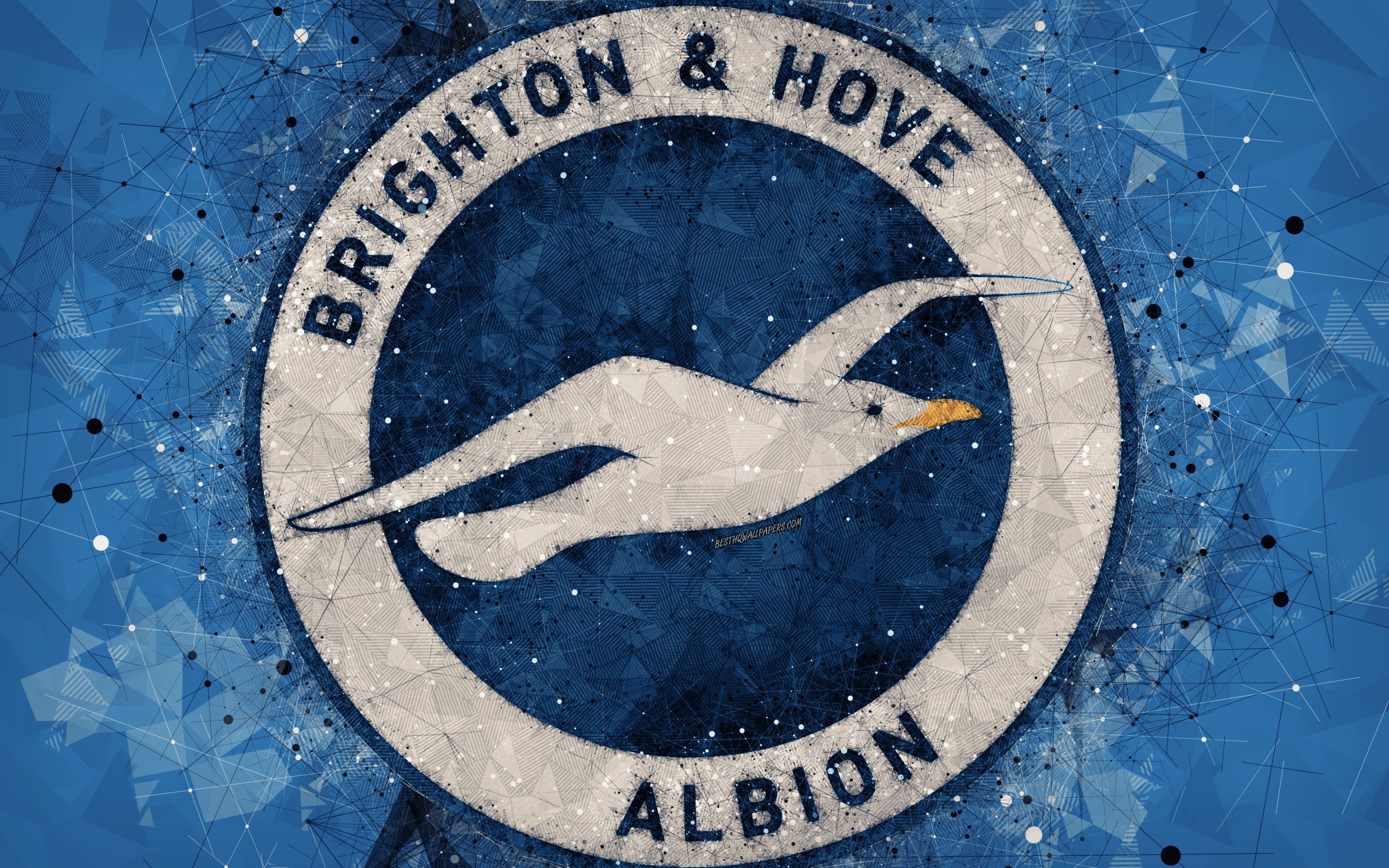 Download wallpaper Brighton and Hove Albion FC, 4k, logo, geometric