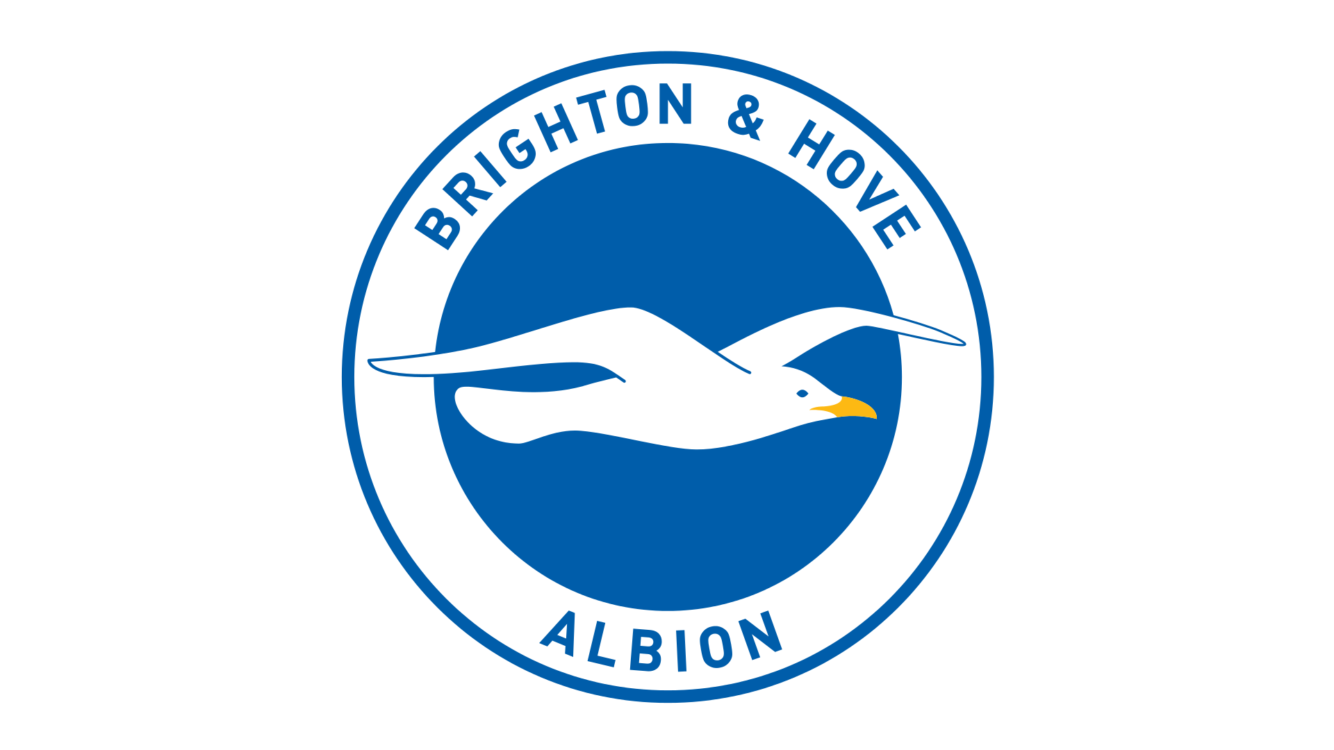 Brighton & Hove Albion logo, Brighton & Hove Albion Symbol, Meaning