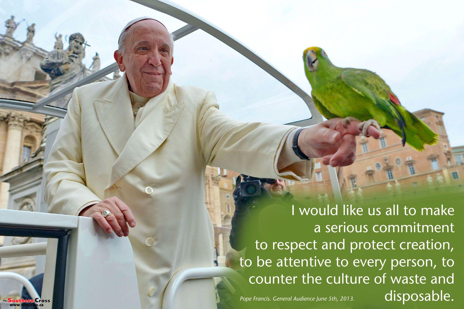 Pope Francis 'Green' Wallpaper Southern Cross
