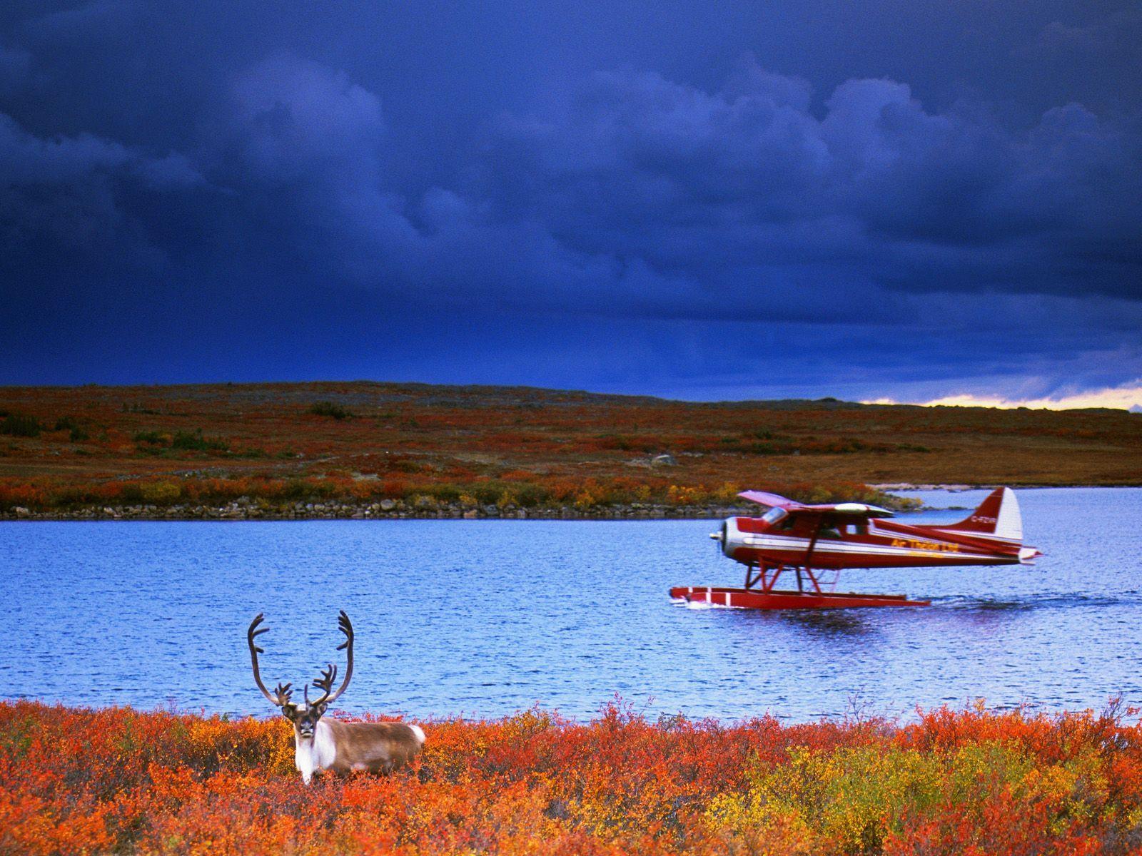 Float Plane Wallpaper Caribou and float plane